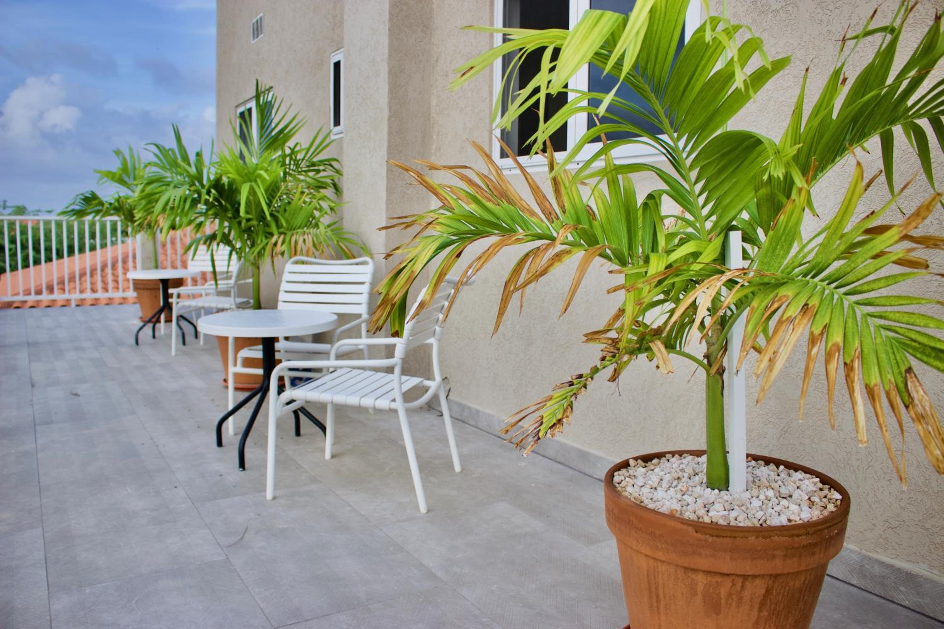 1 Bed Apartment Sleeps 2 - Pool Parking Wifi