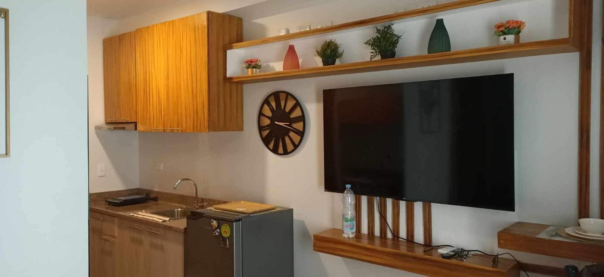 Elegant Studio Type Unit view 3