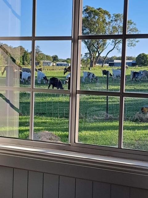 Straw House Farm - STANTHORPE