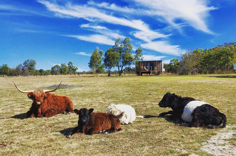 Straw House Farm - STANTHORPE