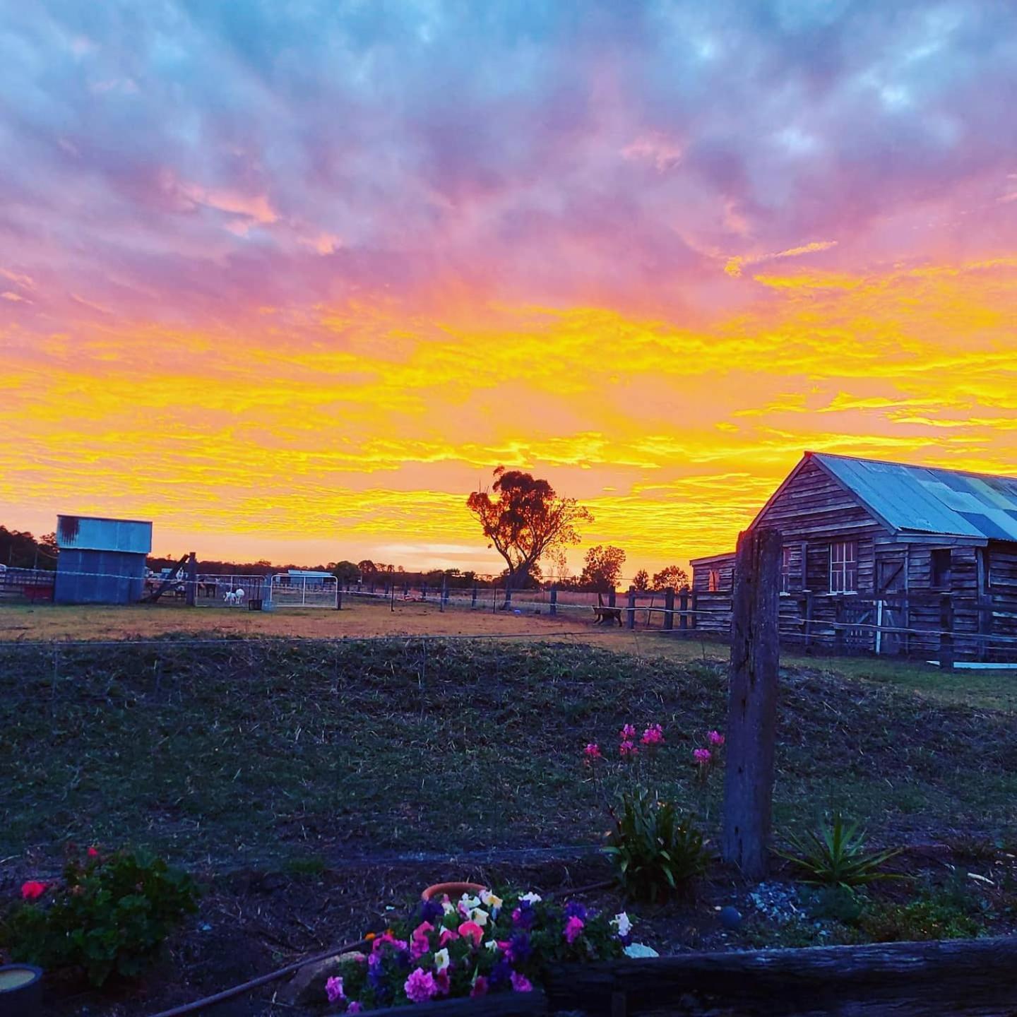 Straw House Farm - STANTHORPE