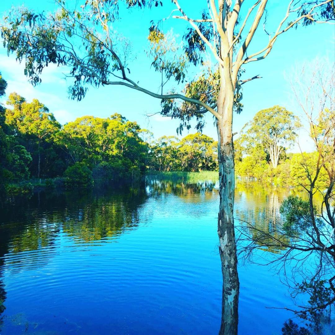 Straw House Farm - STANTHORPE