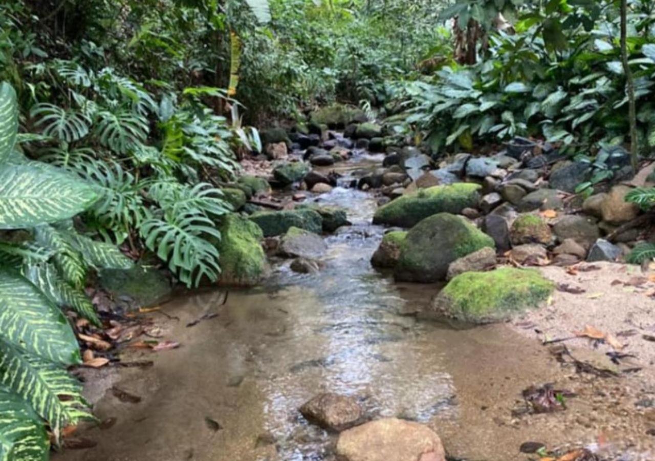 Mansão Eco Paradise, Experiência única, natureza!