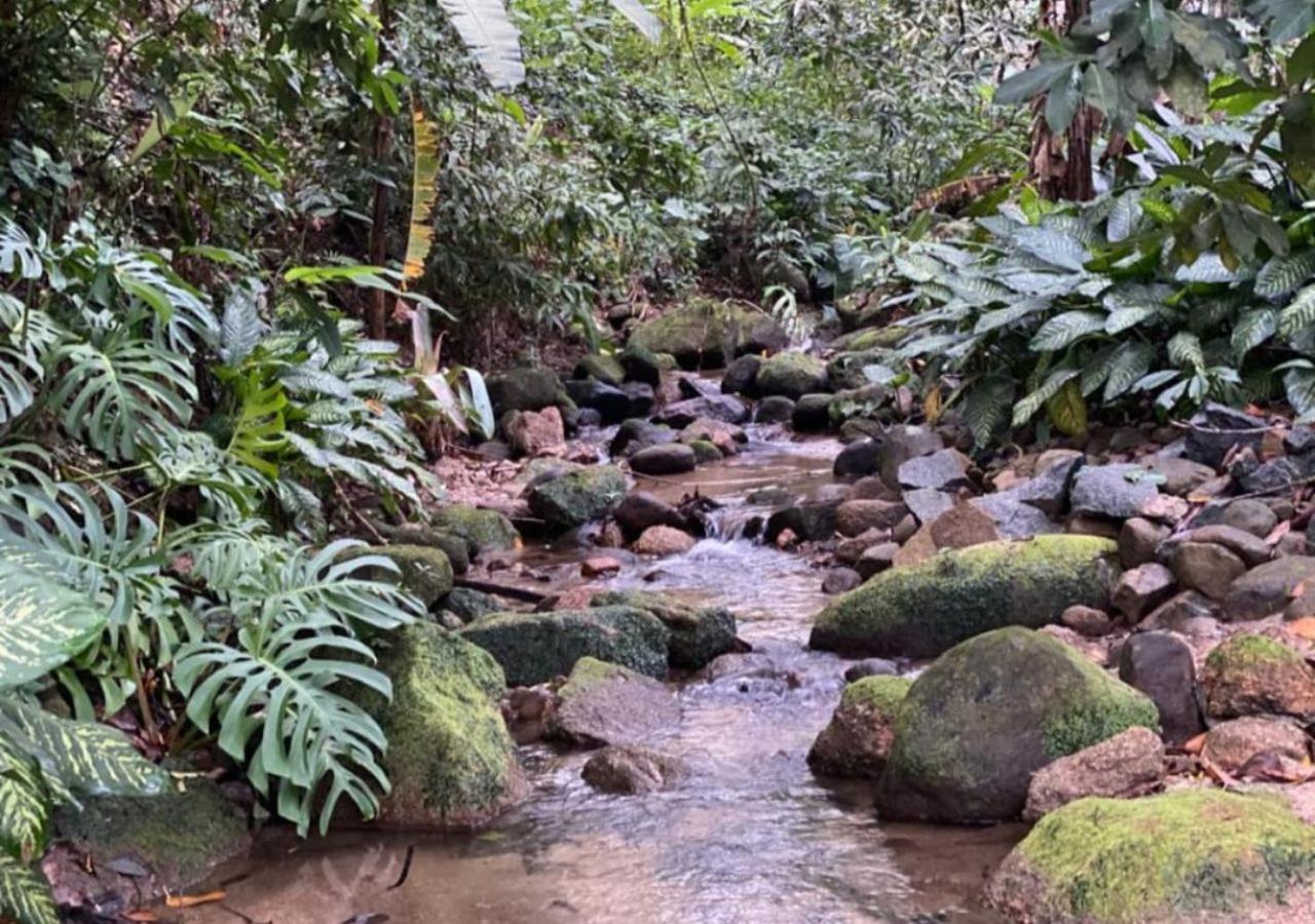 Mansão Eco Paradise, Experiência única, natureza!