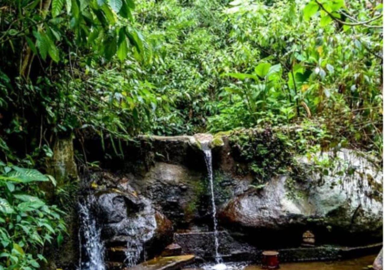 Mansão Eco Paradise, Experiência única, natureza!