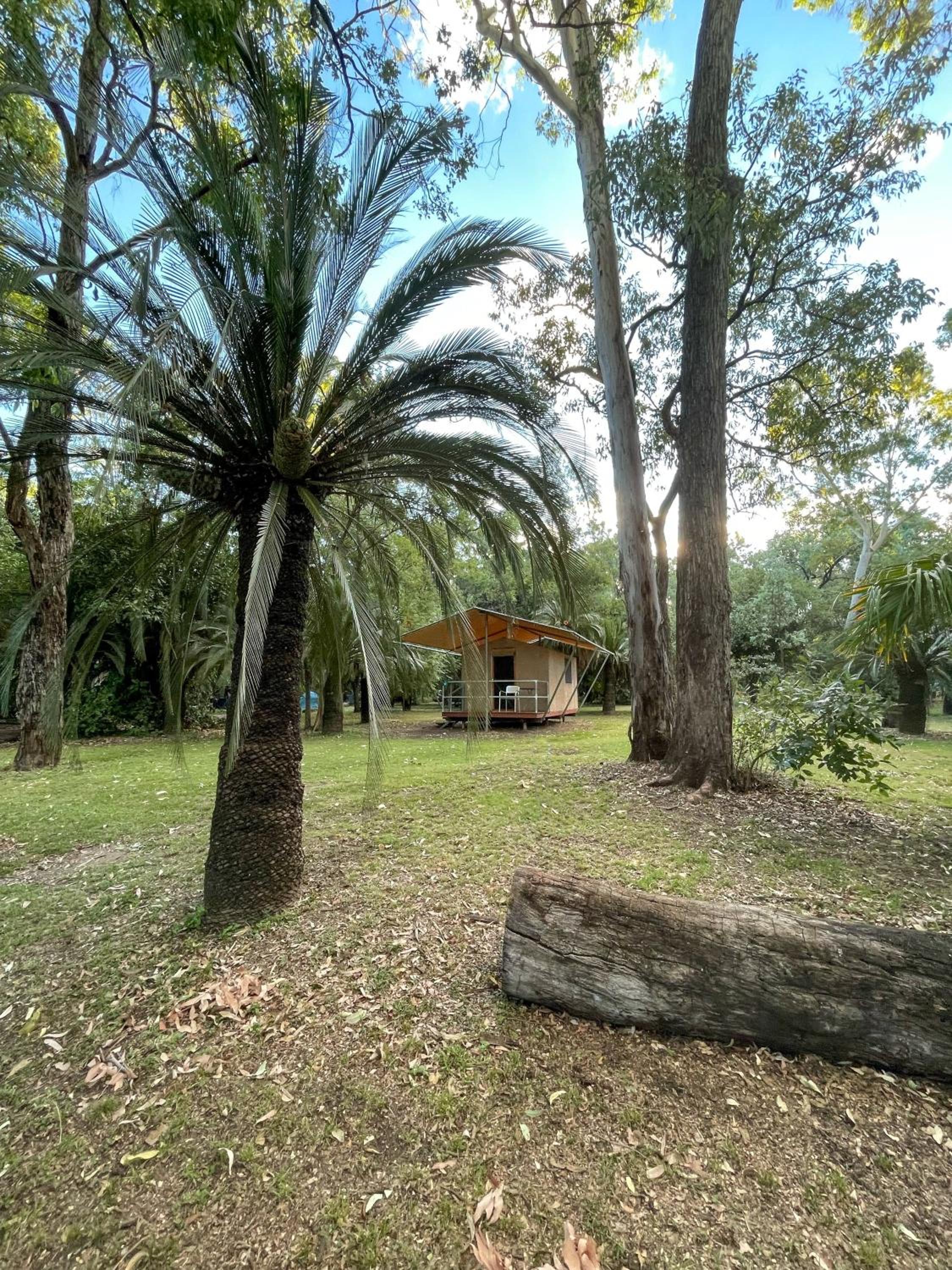 BIG4 Carnarvon Gorge Holiday Park