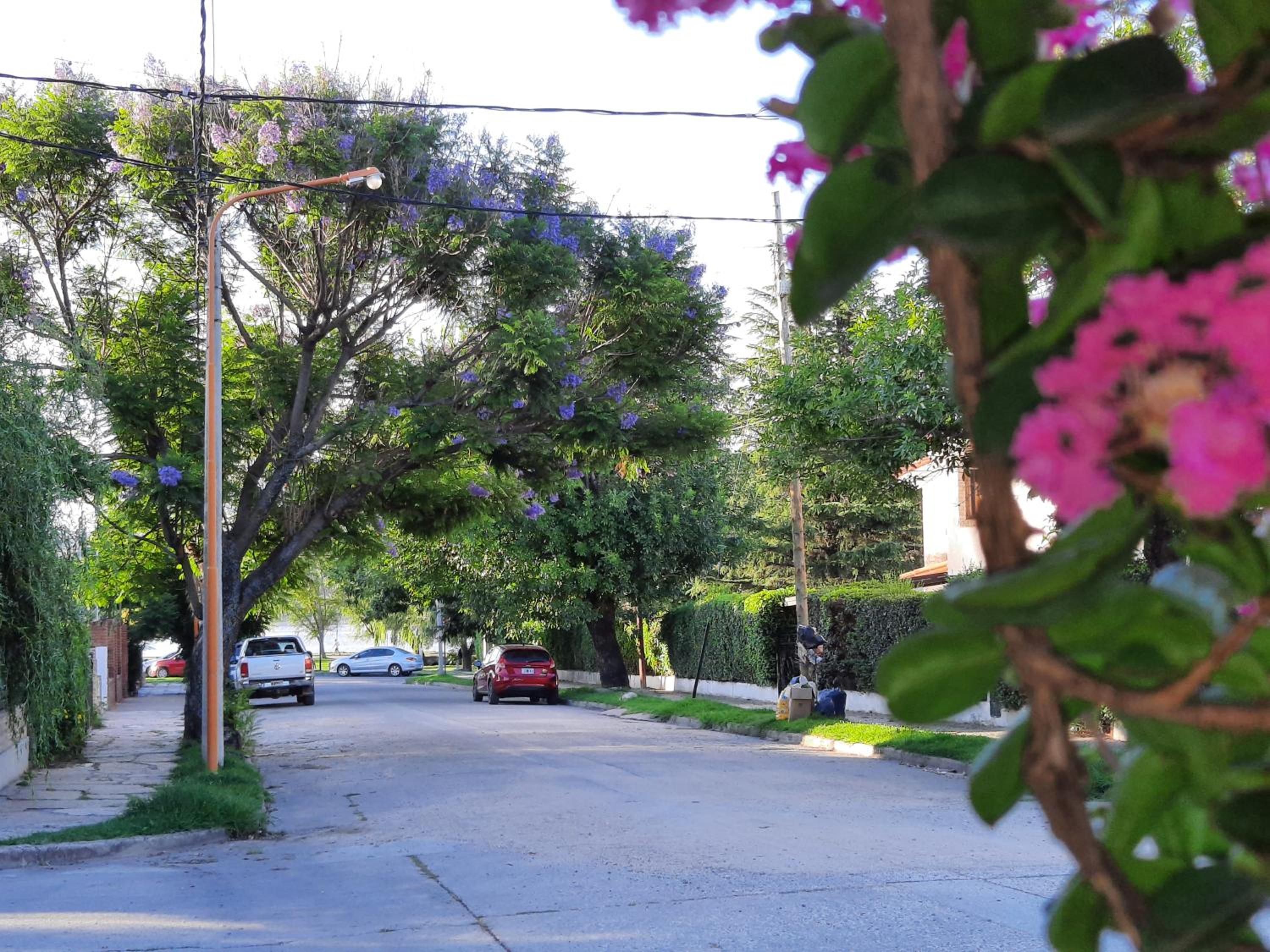 Housing de la Costa