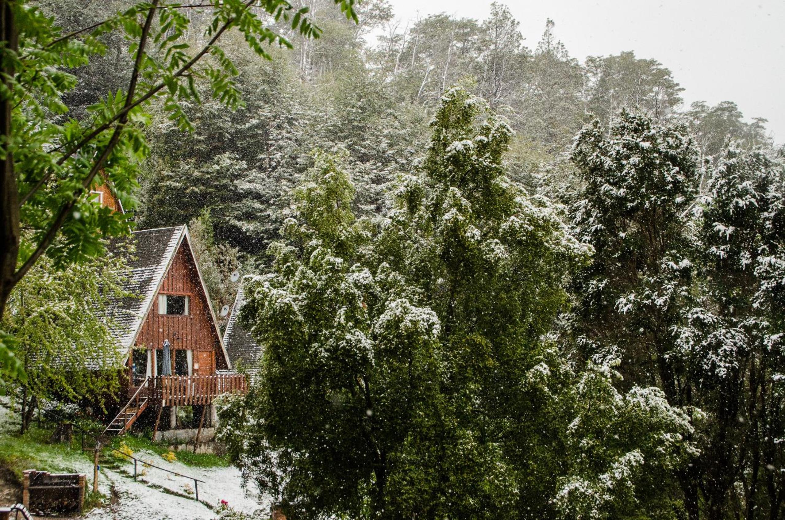 Cabañas Villa Pañil