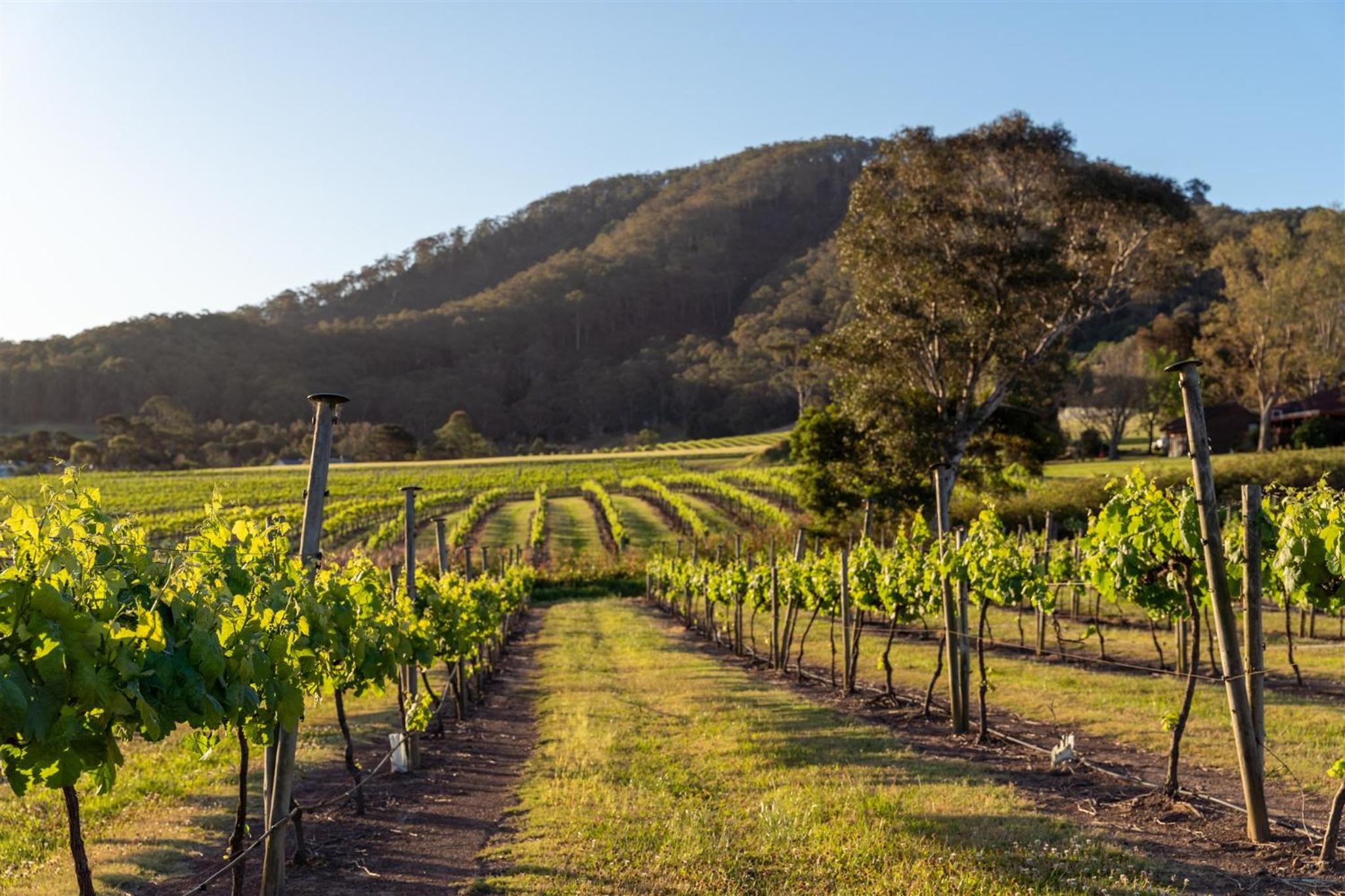 Coolangatta Estate Shoalhaven Heads