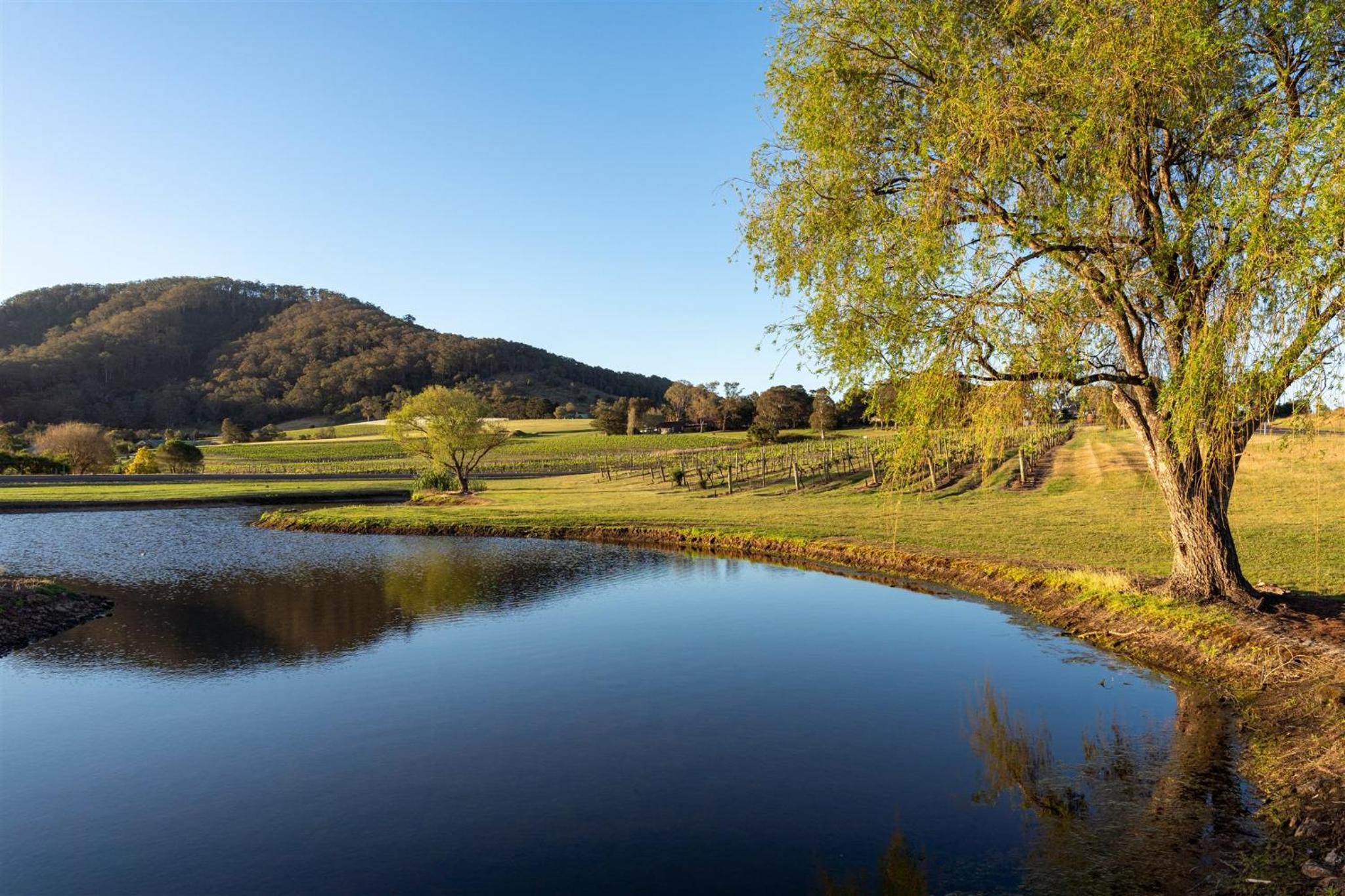 Coolangatta Estate Shoalhaven Heads