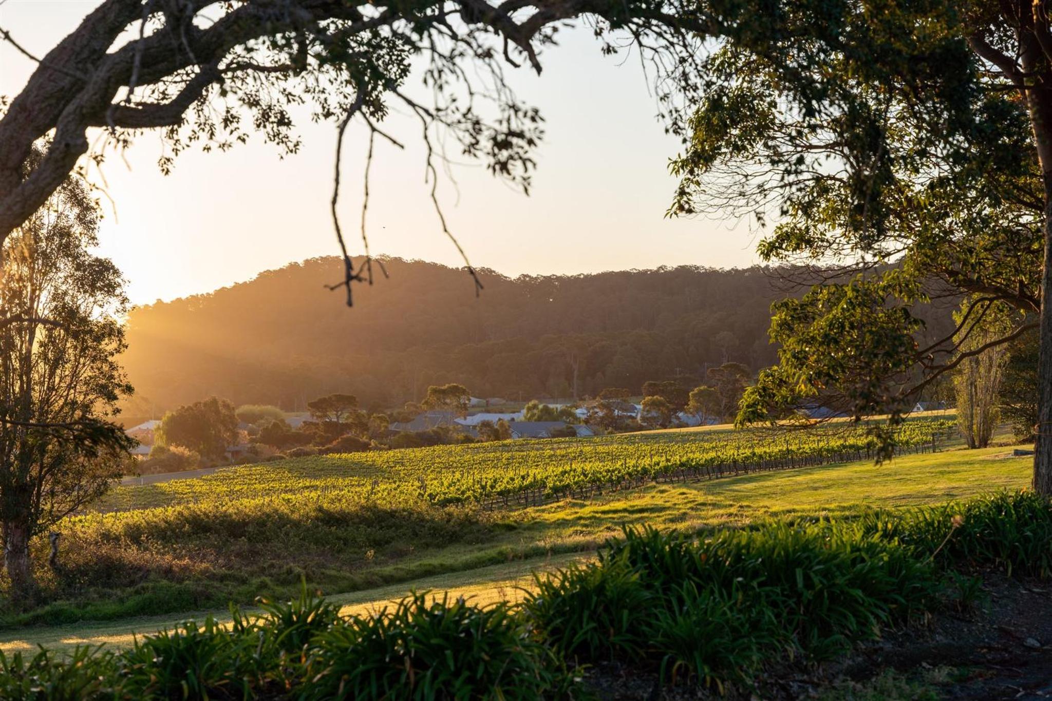 Coolangatta Estate Shoalhaven Heads