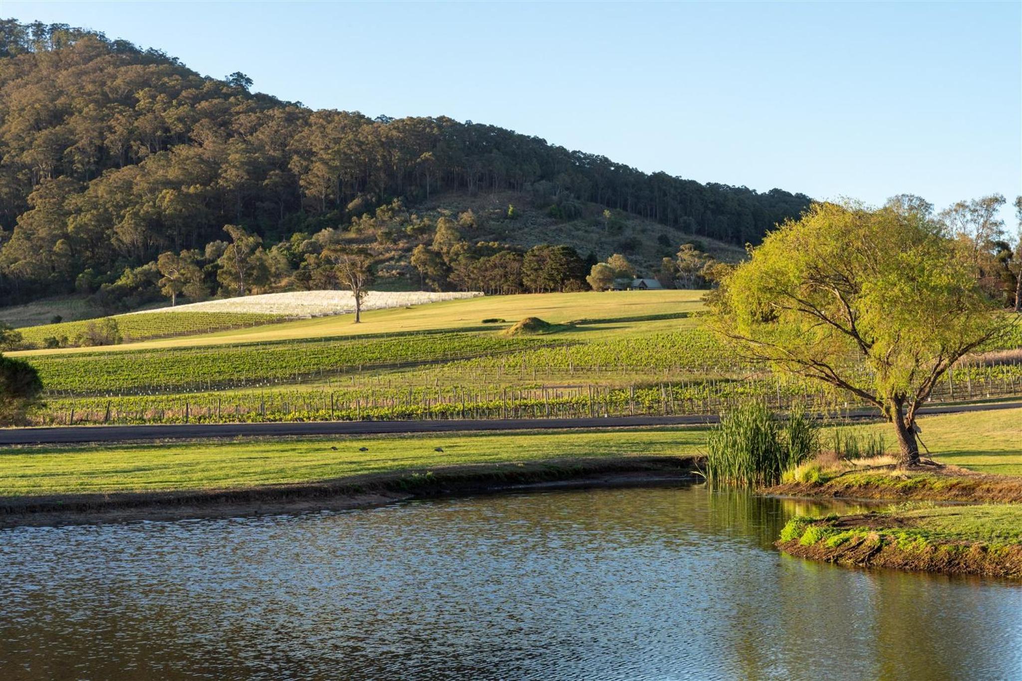 Coolangatta Estate Shoalhaven Heads