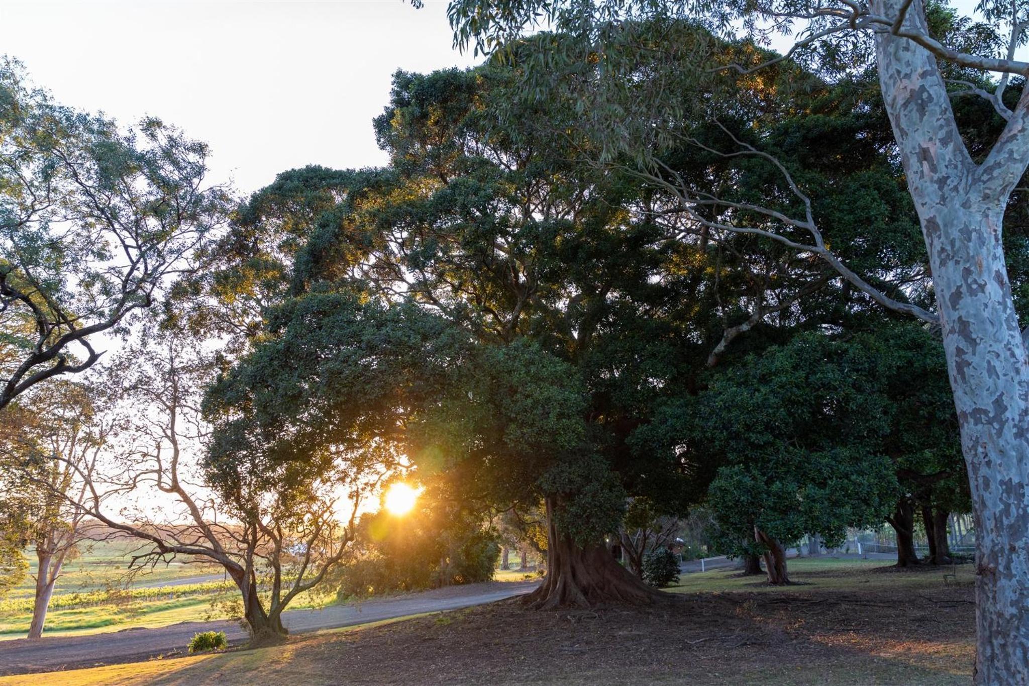 Coolangatta Estate Shoalhaven Heads