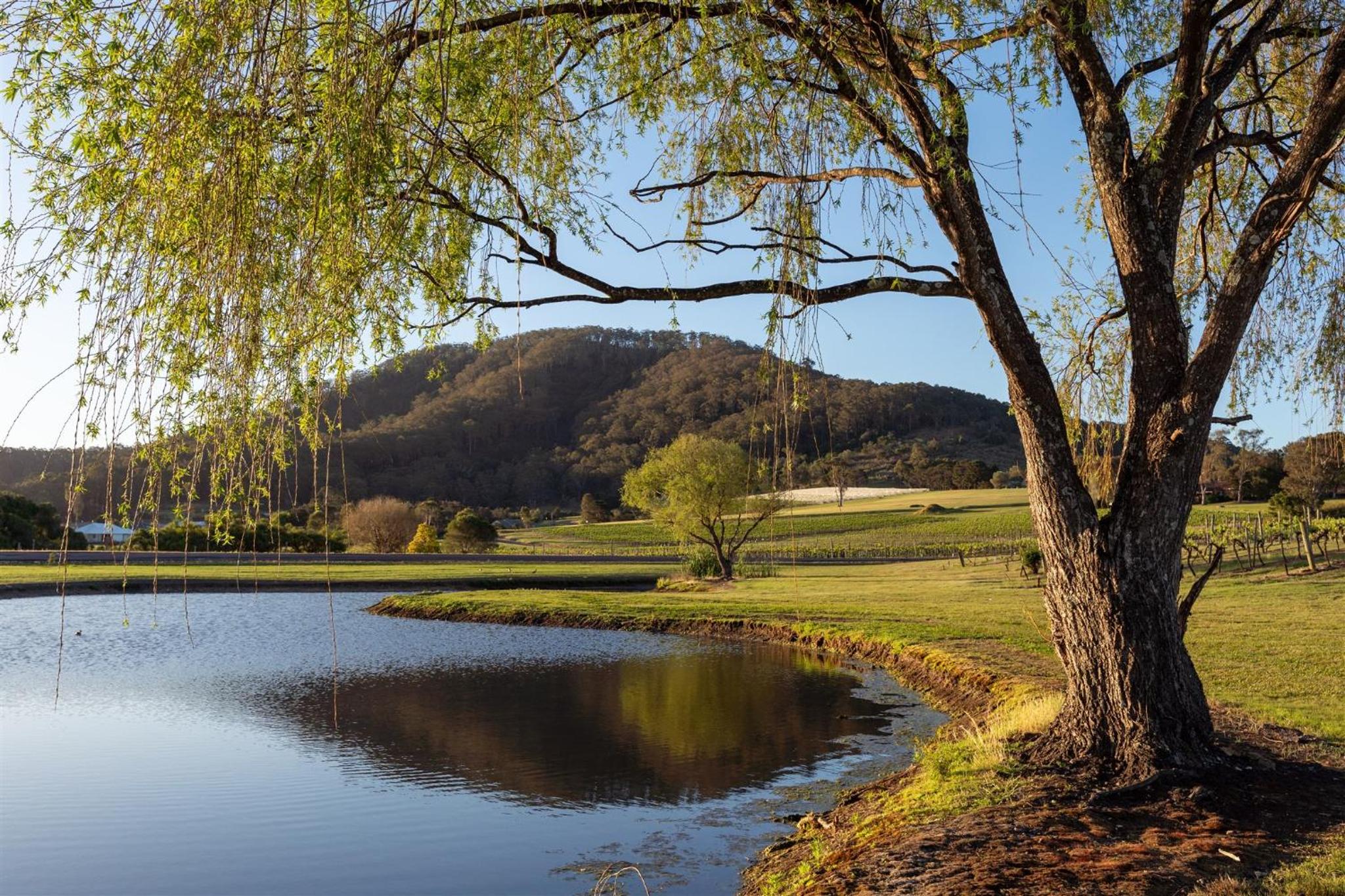 Coolangatta Estate Shoalhaven Heads