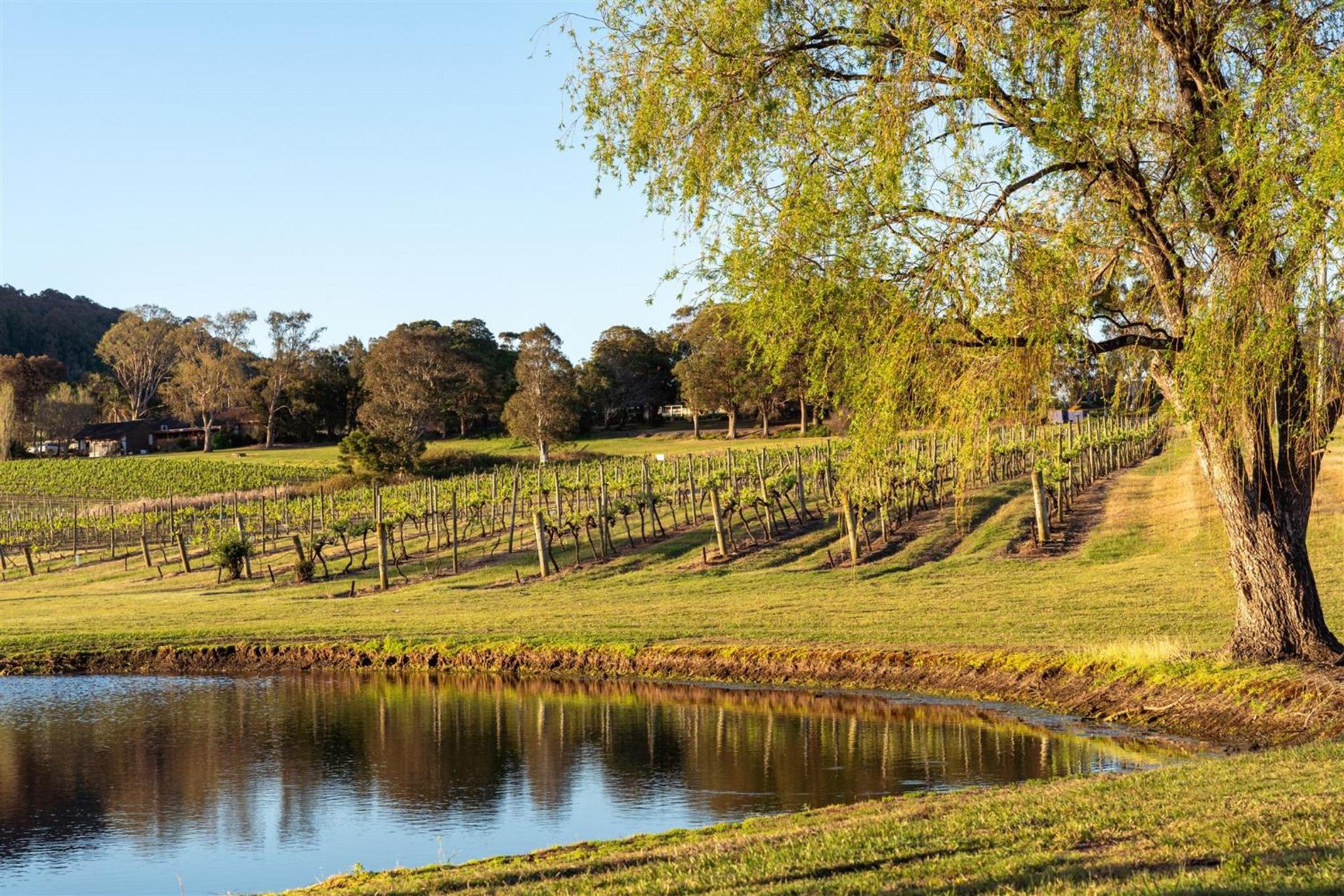 Coolangatta Estate Shoalhaven Heads