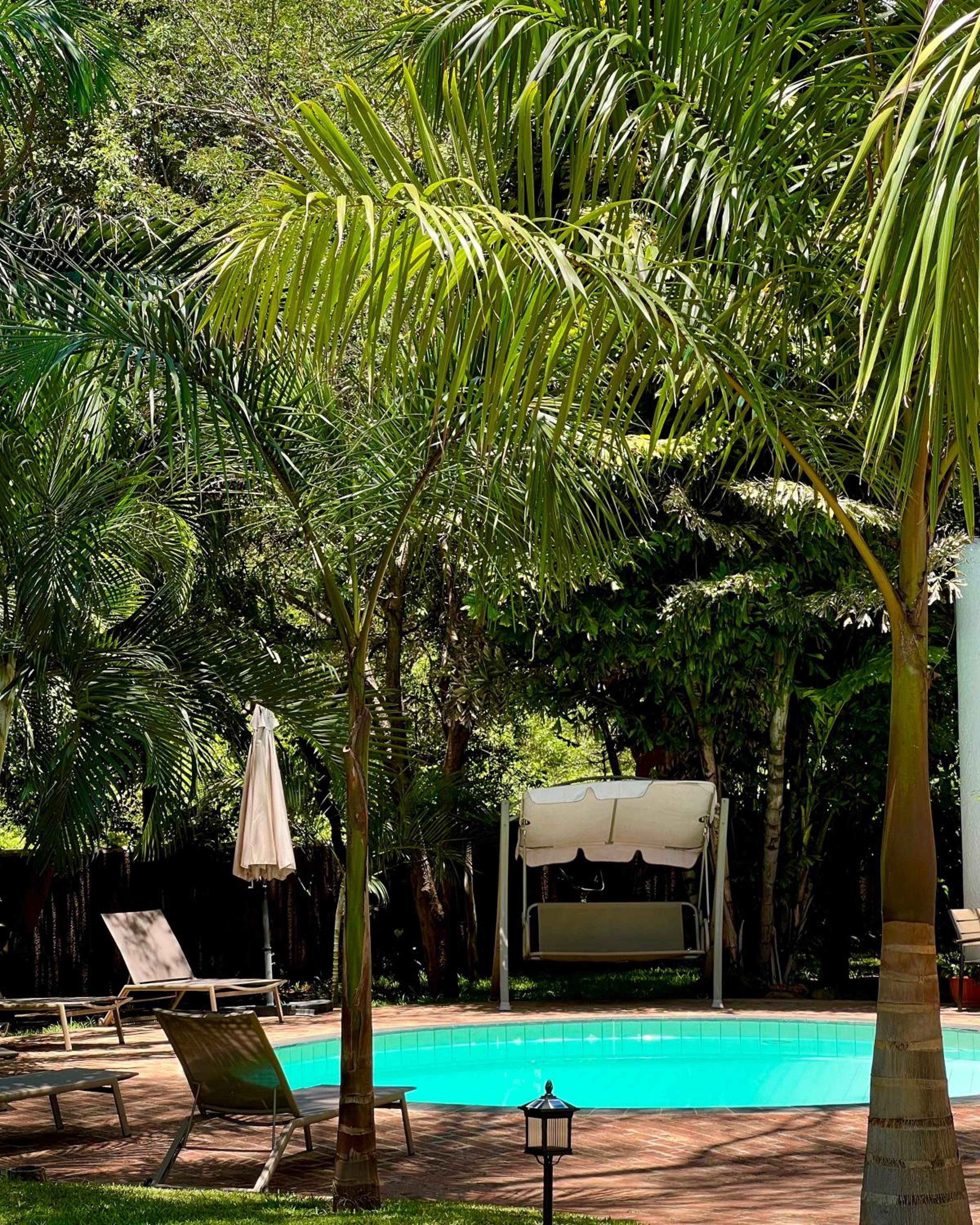 Jacaranda Lodge