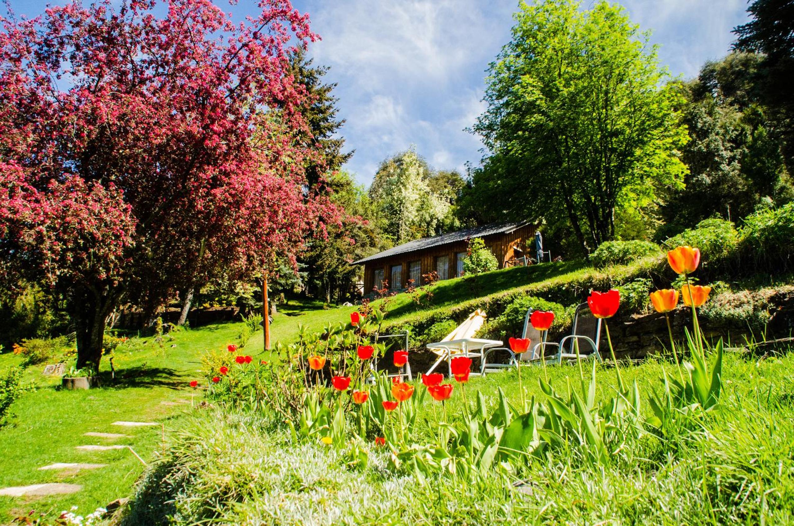 Cabañas Villa Pañil