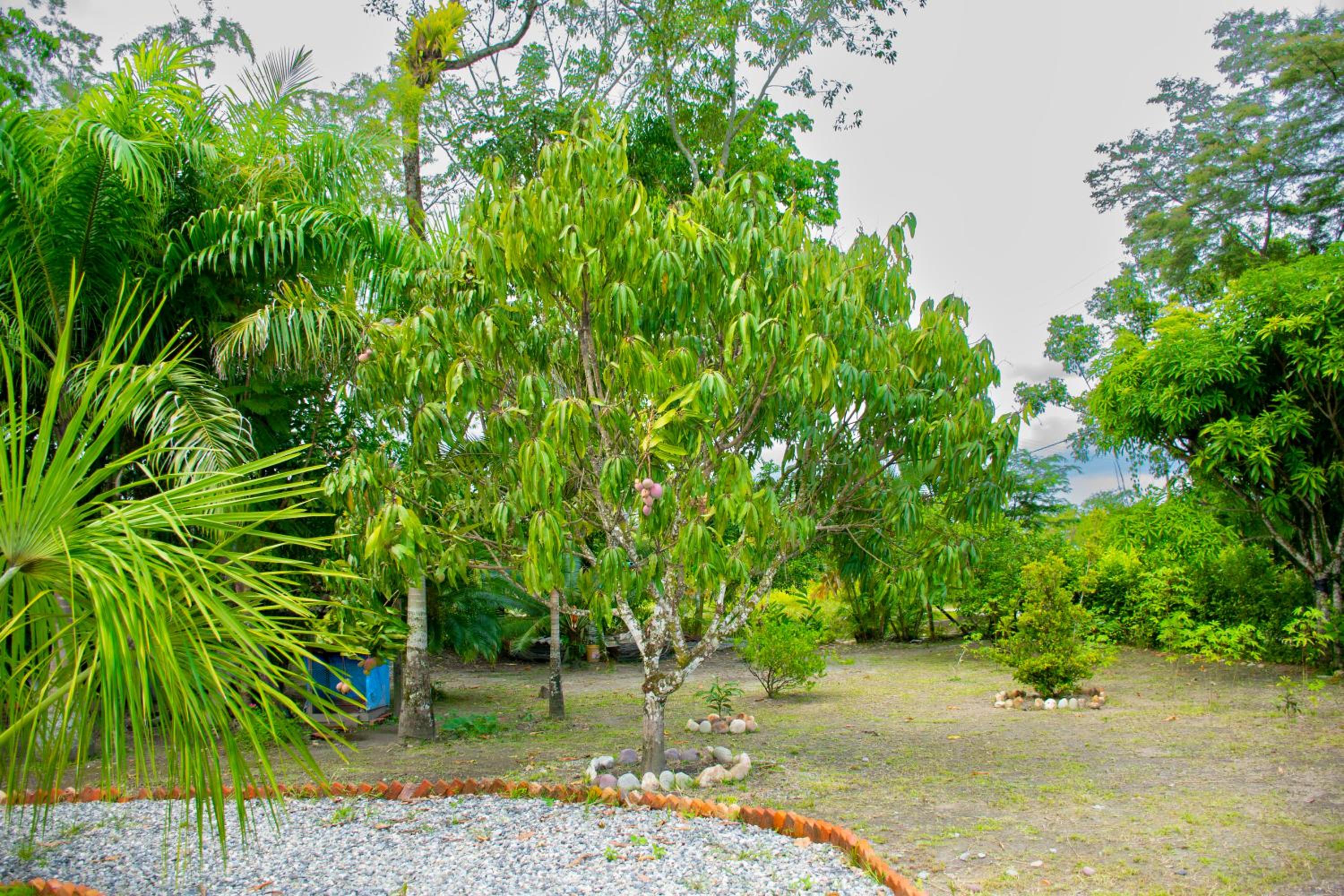 Hacienda Mi Rancho