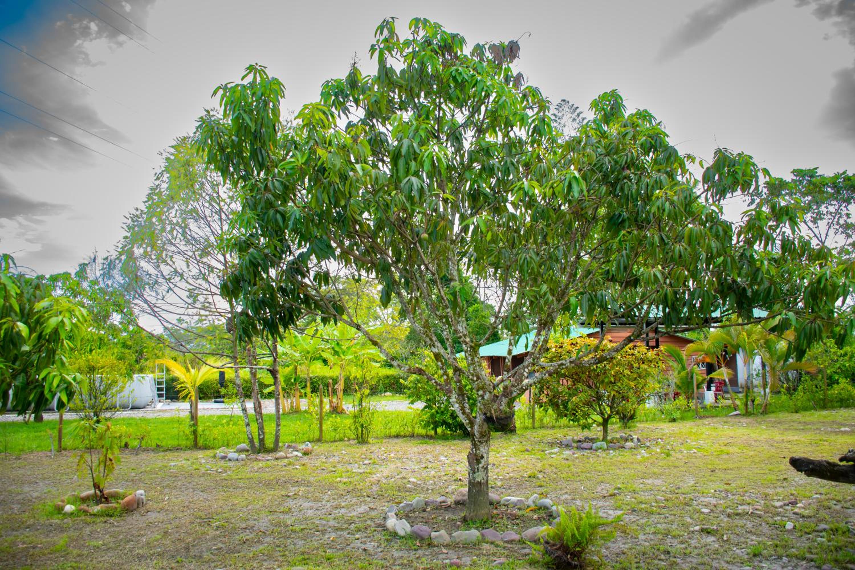 Hacienda Mi Rancho