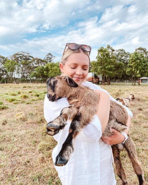 Straw House Farm - STANTHORPE