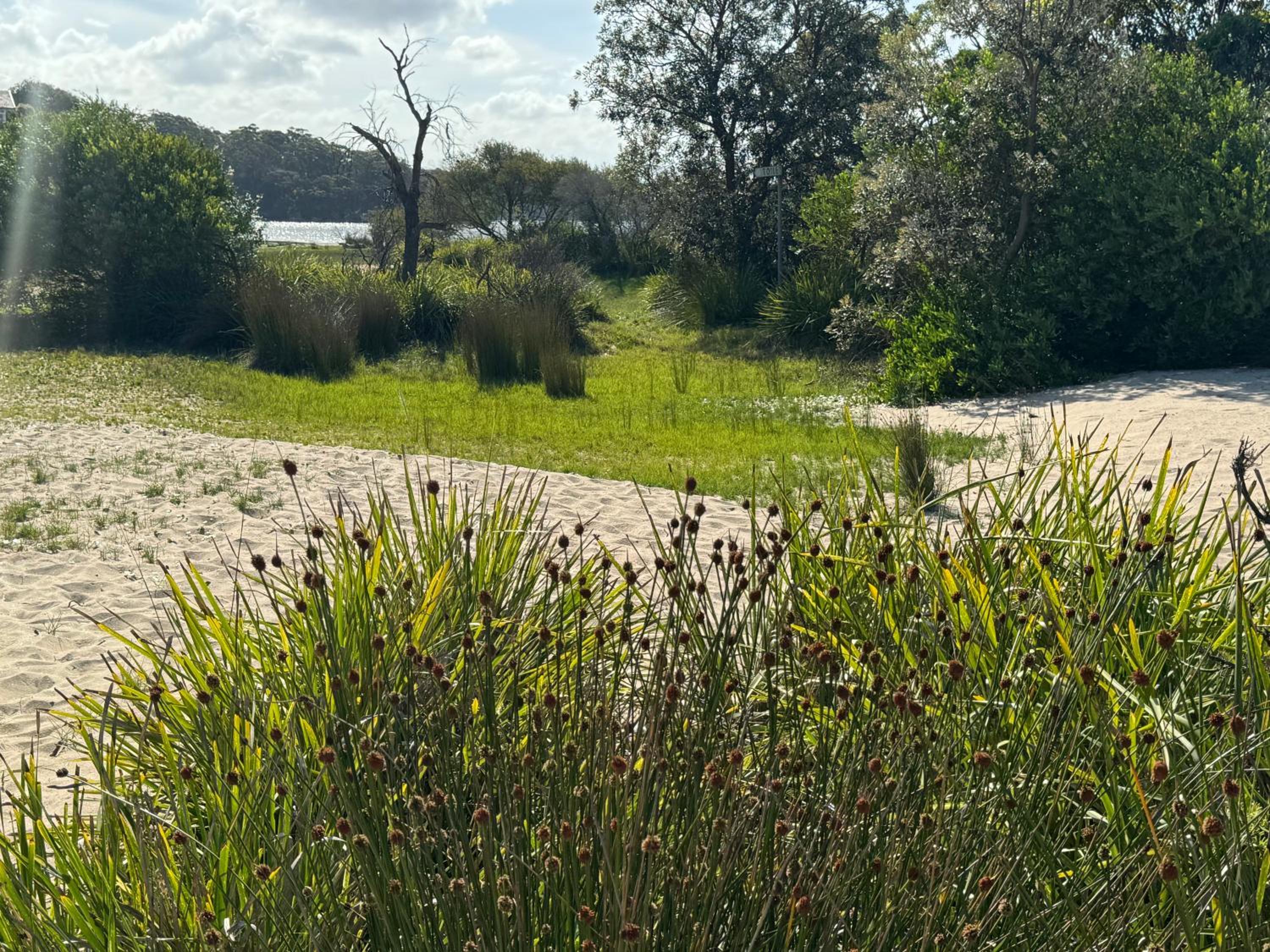 Oasis in Nature