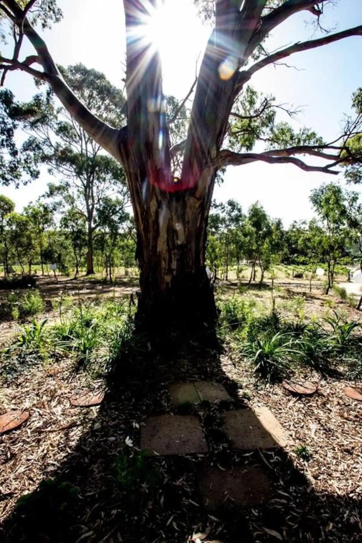Accessible, Inclusive studio, Barossa Valley SA - It's Bonza at Mill About Vineyard