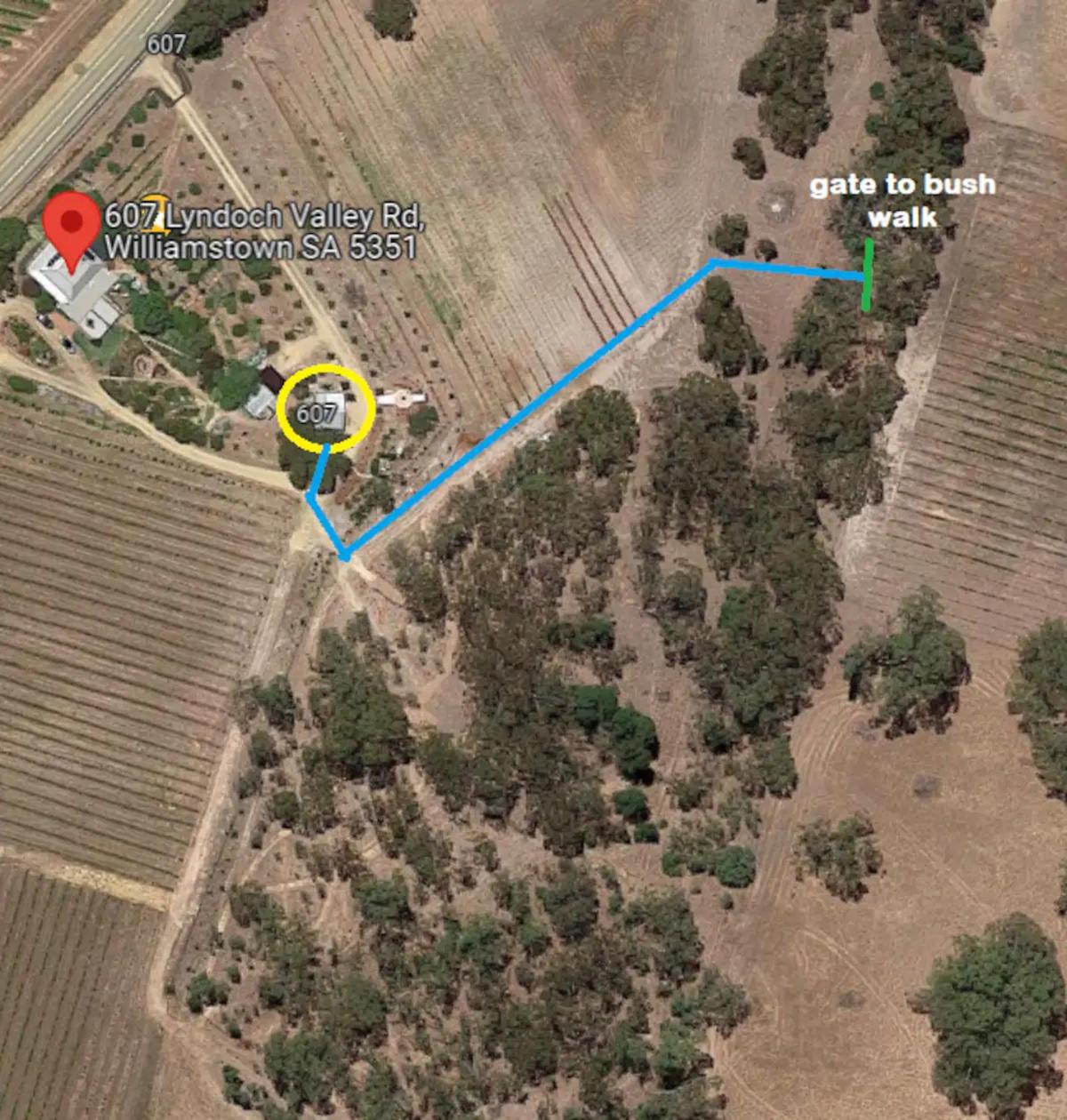 Accessible, Inclusive studio, Barossa Valley SA - It's Bonza at Mill About Vineyard