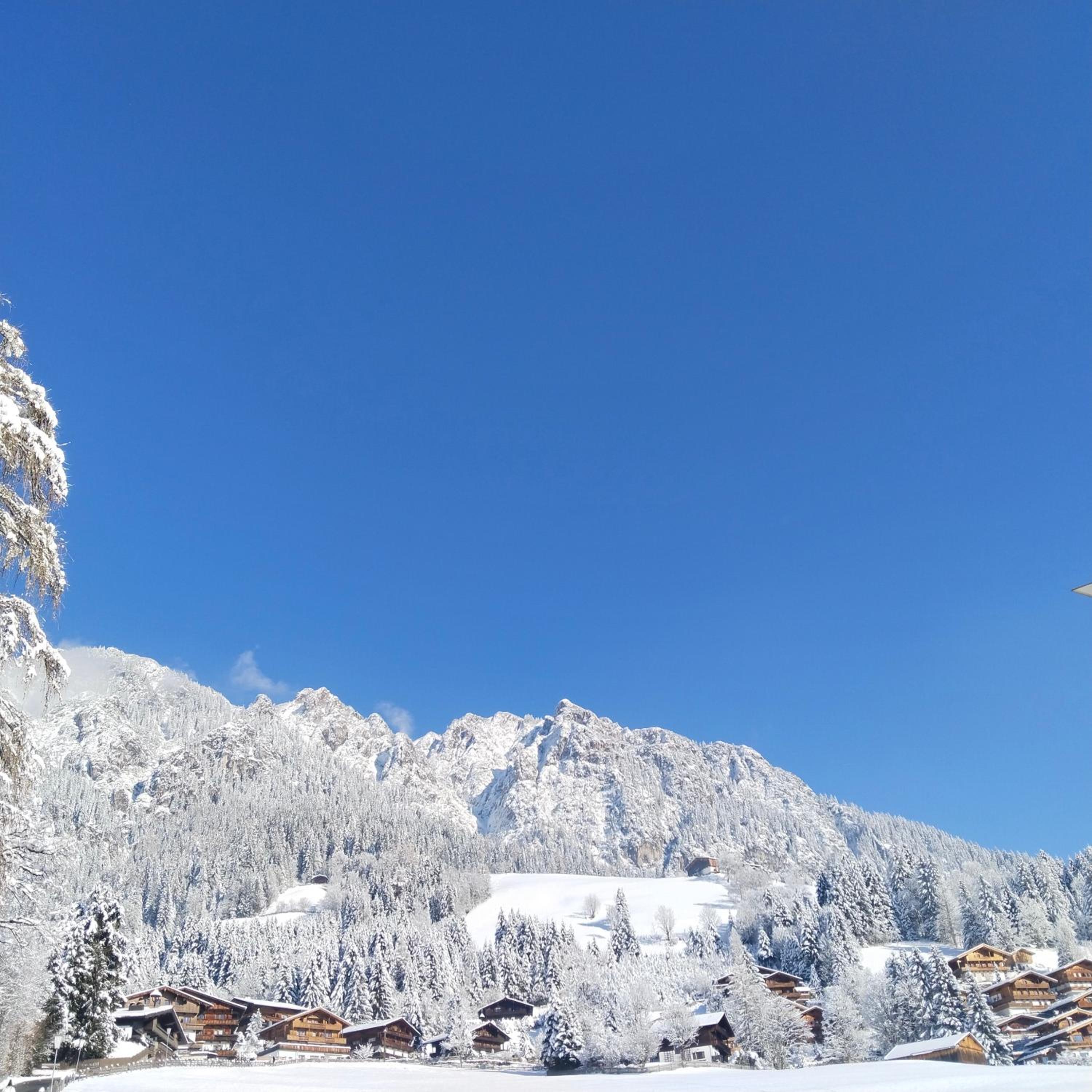 Alpbachblick