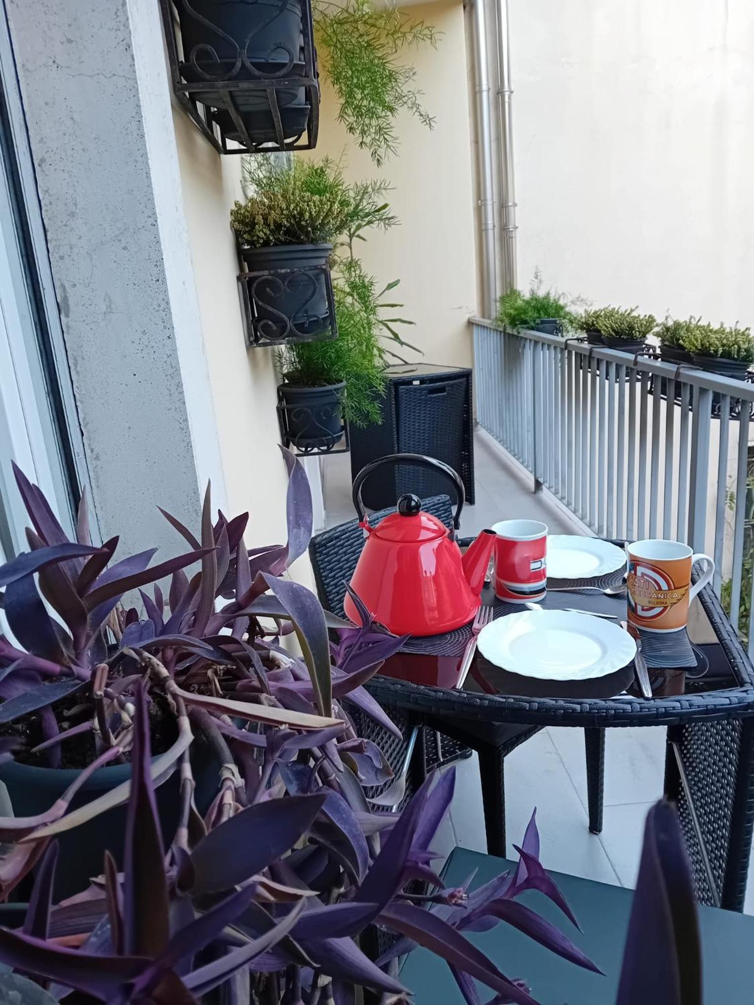balance & terrace