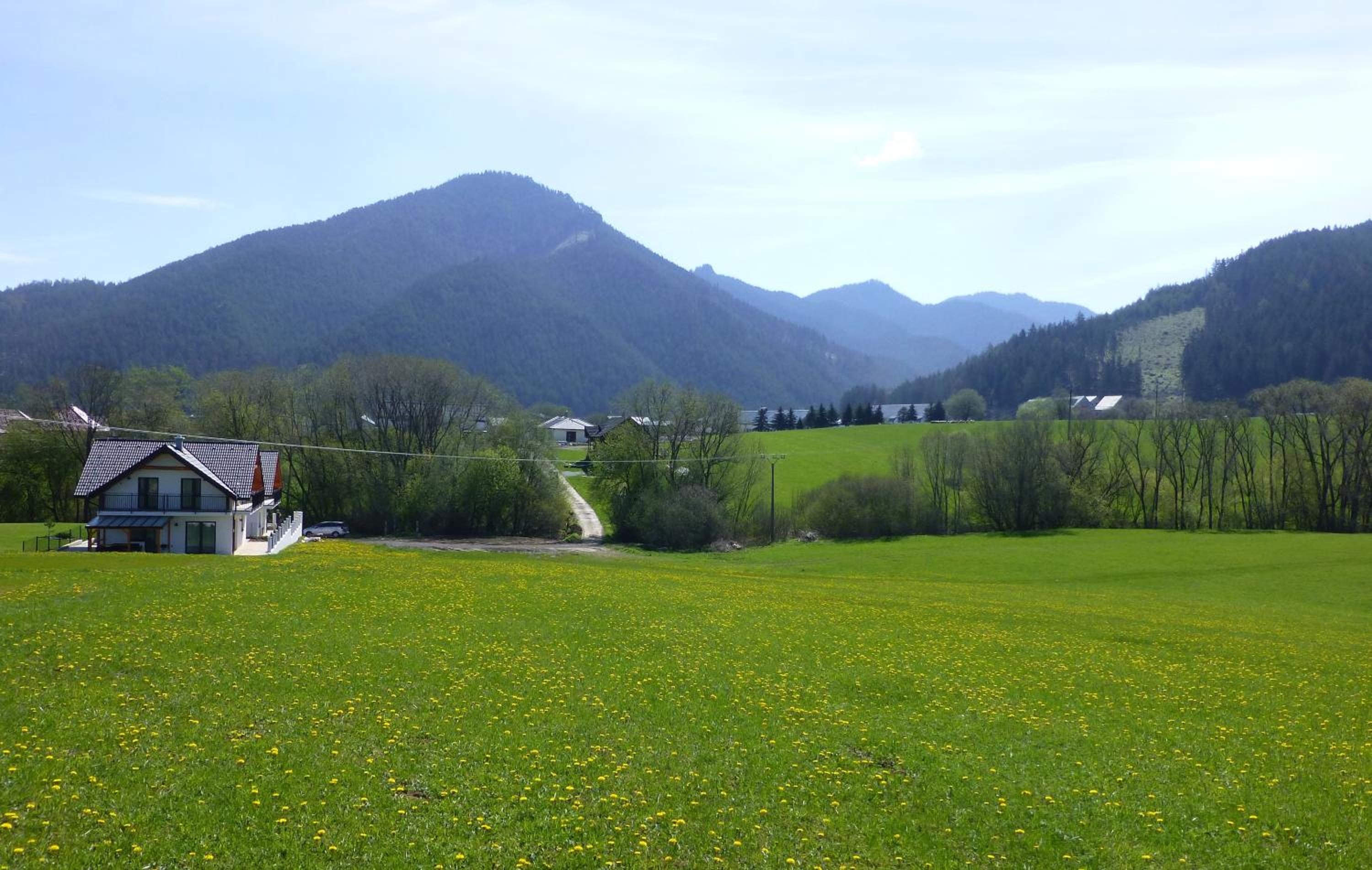Photo 46