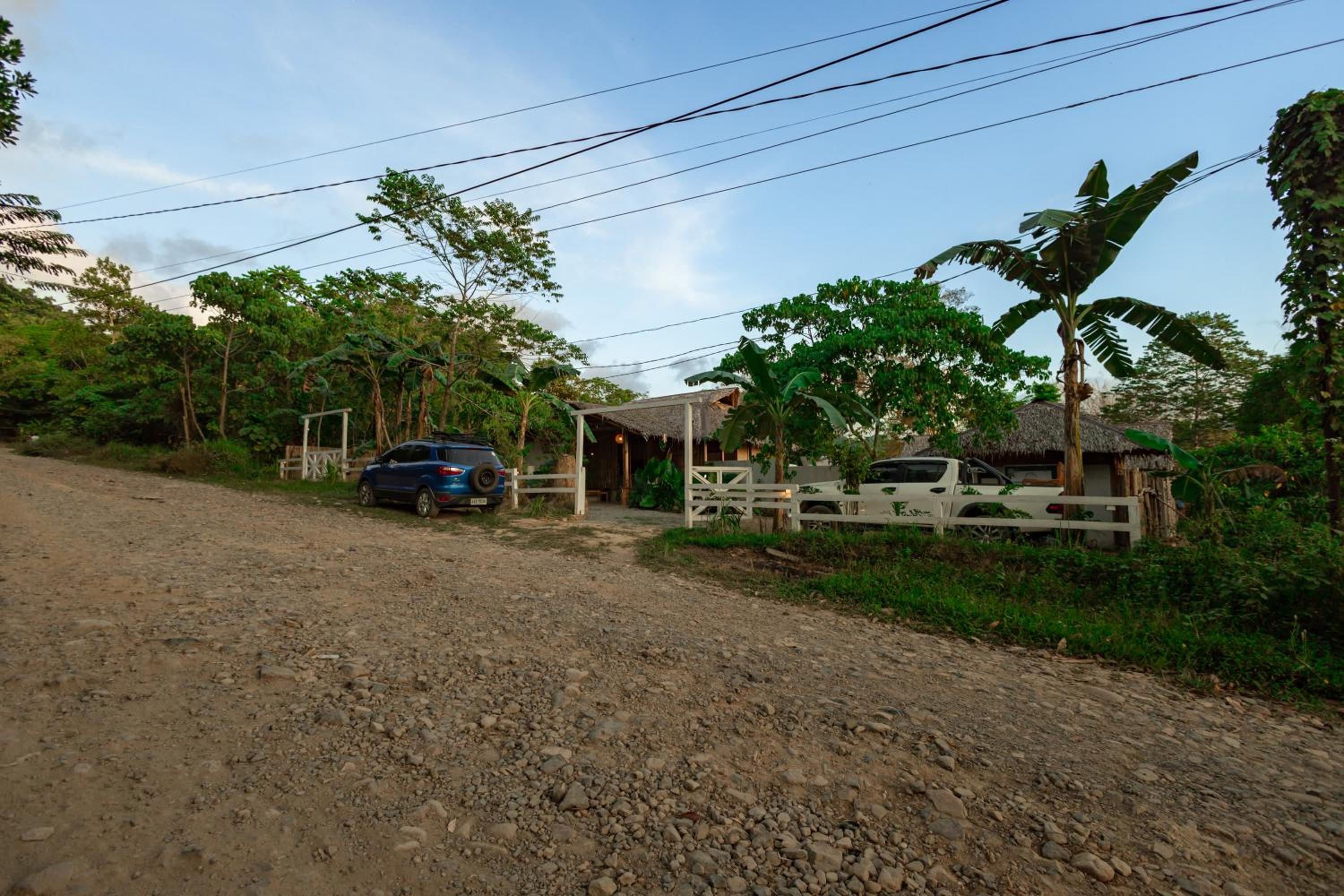 Photo 41