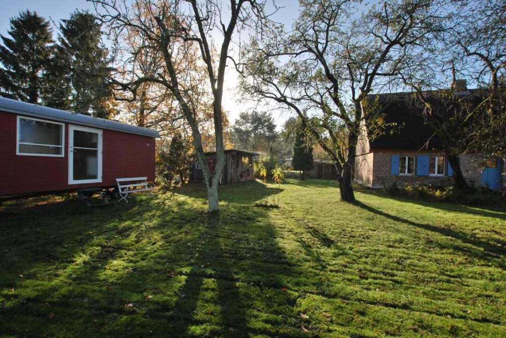 Historisches Reetdachhaus mit Bauwagen und großem Obstgarten