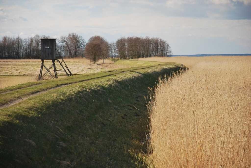 Historisches Reetdachhaus mit Bauwagen und großem Obstgarten