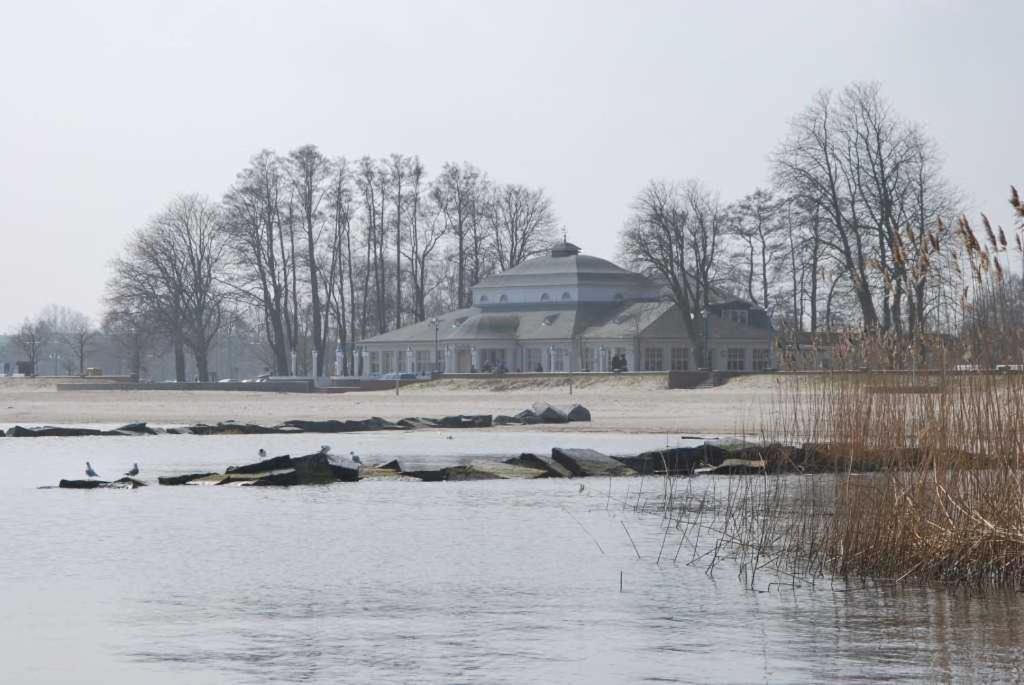 Historisches Reetdachhaus mit Bauwagen und großem Obstgarten