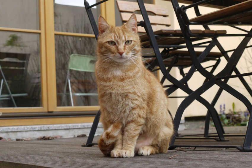 Ferien beim Buchhändler