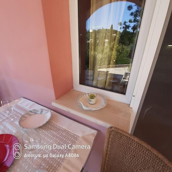 villa olga-corfu view 2