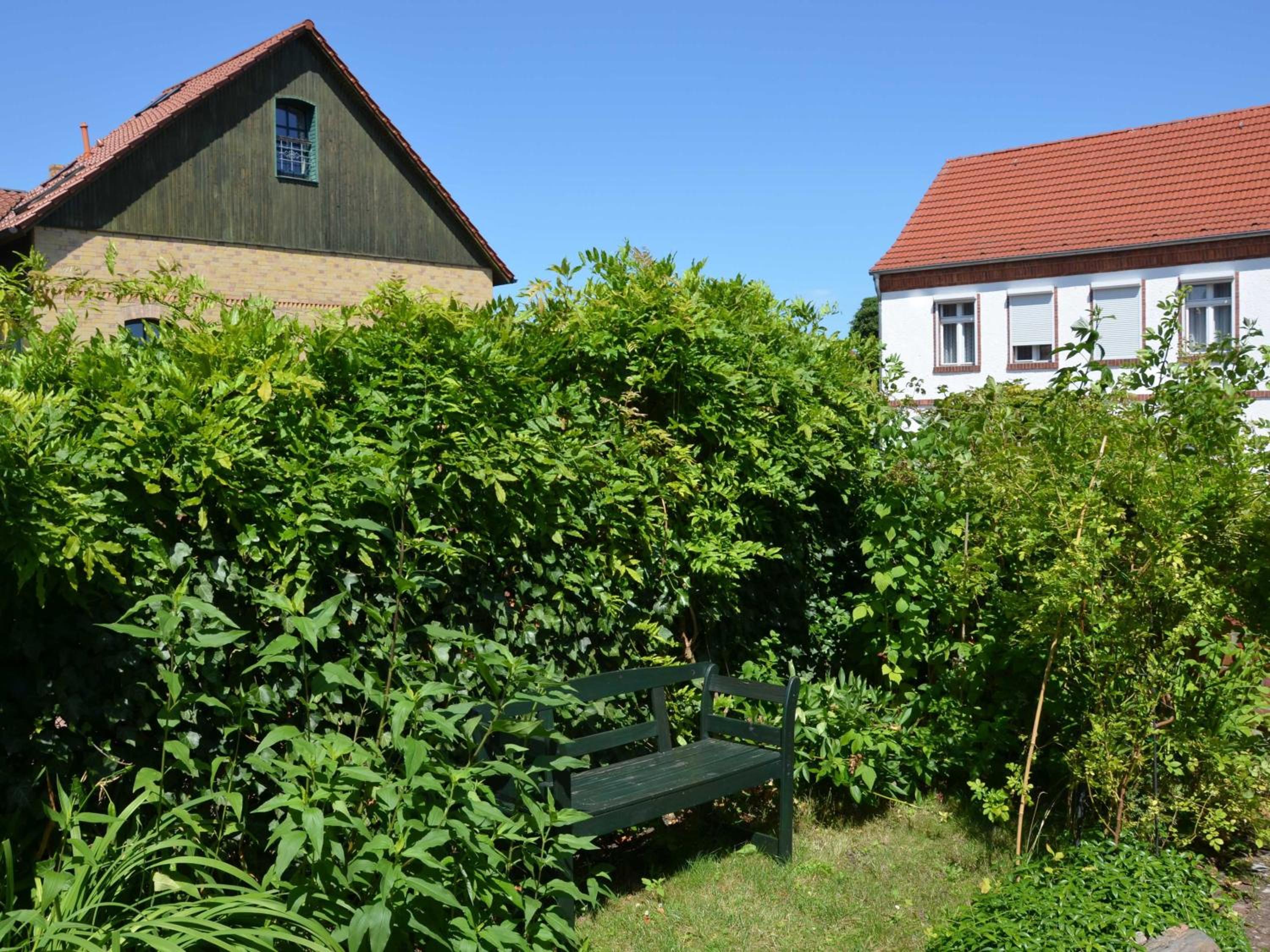 FeWo Haffliebe Ueckermünde Markt