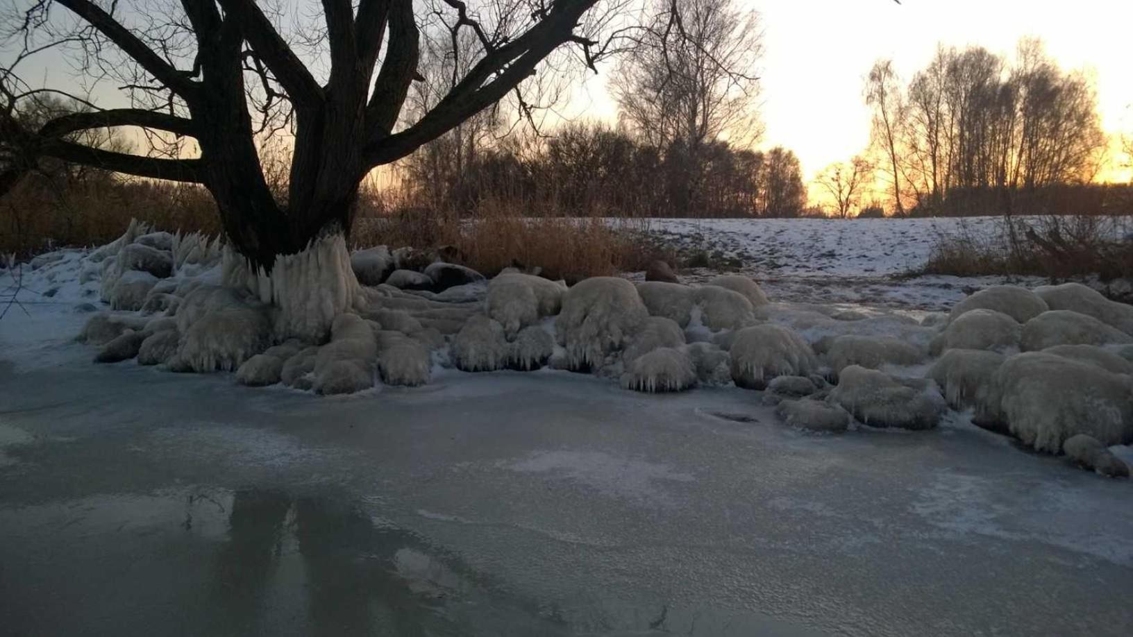 FEWO Seestern 231 in der Lagunenstadt