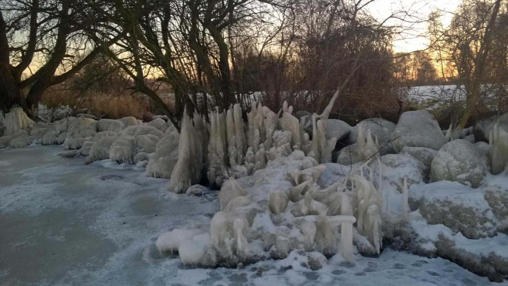 FEWO Seestern 231 in der Lagunenstadt