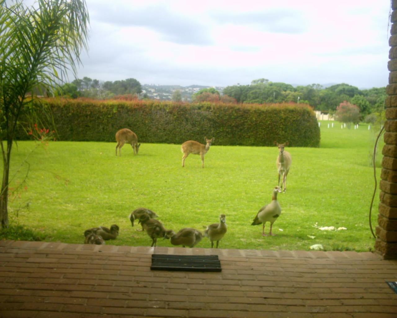 Brenton Lake Holiday Cottages