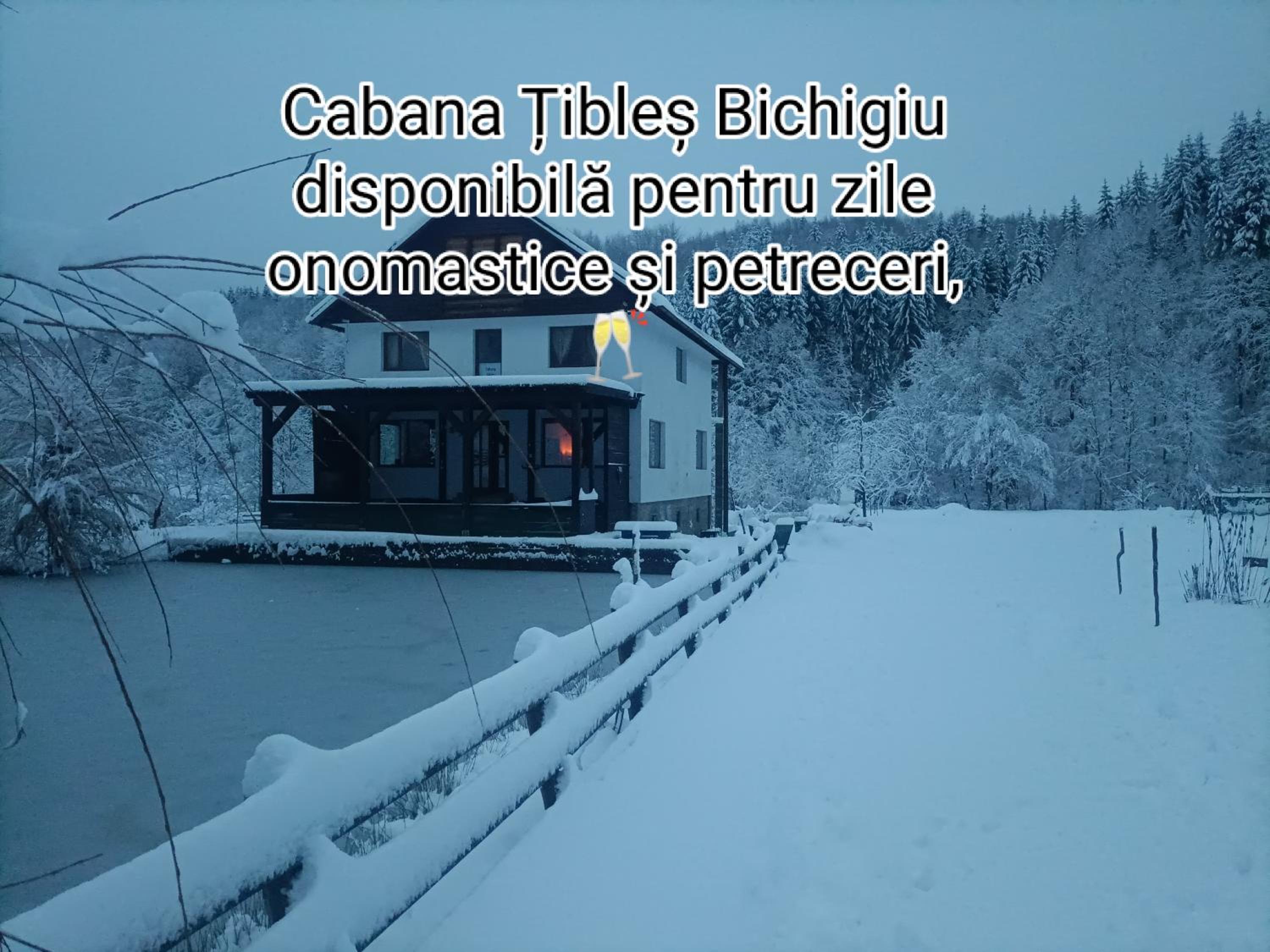 Cabana Țibleș view 3