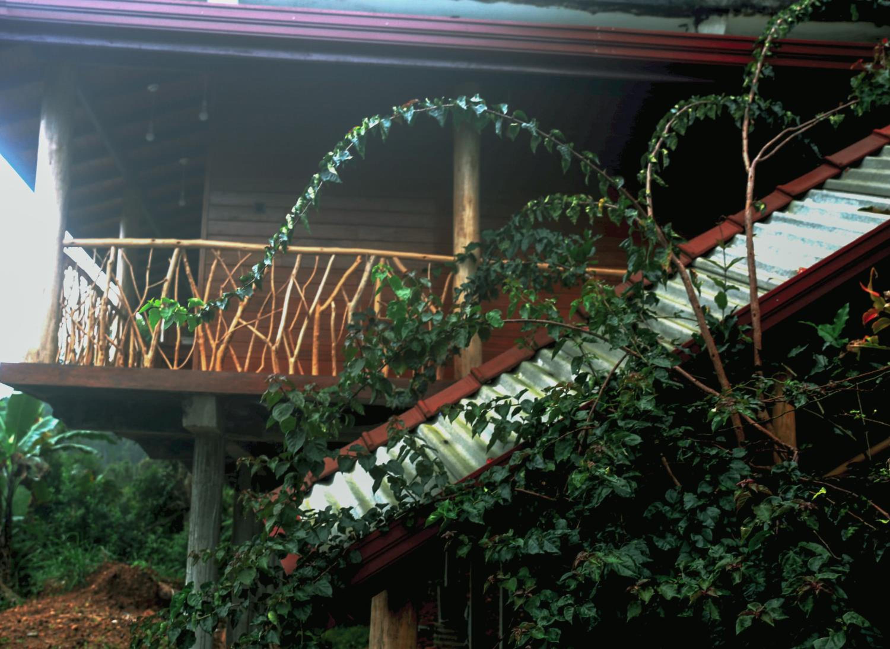The Dream Inn