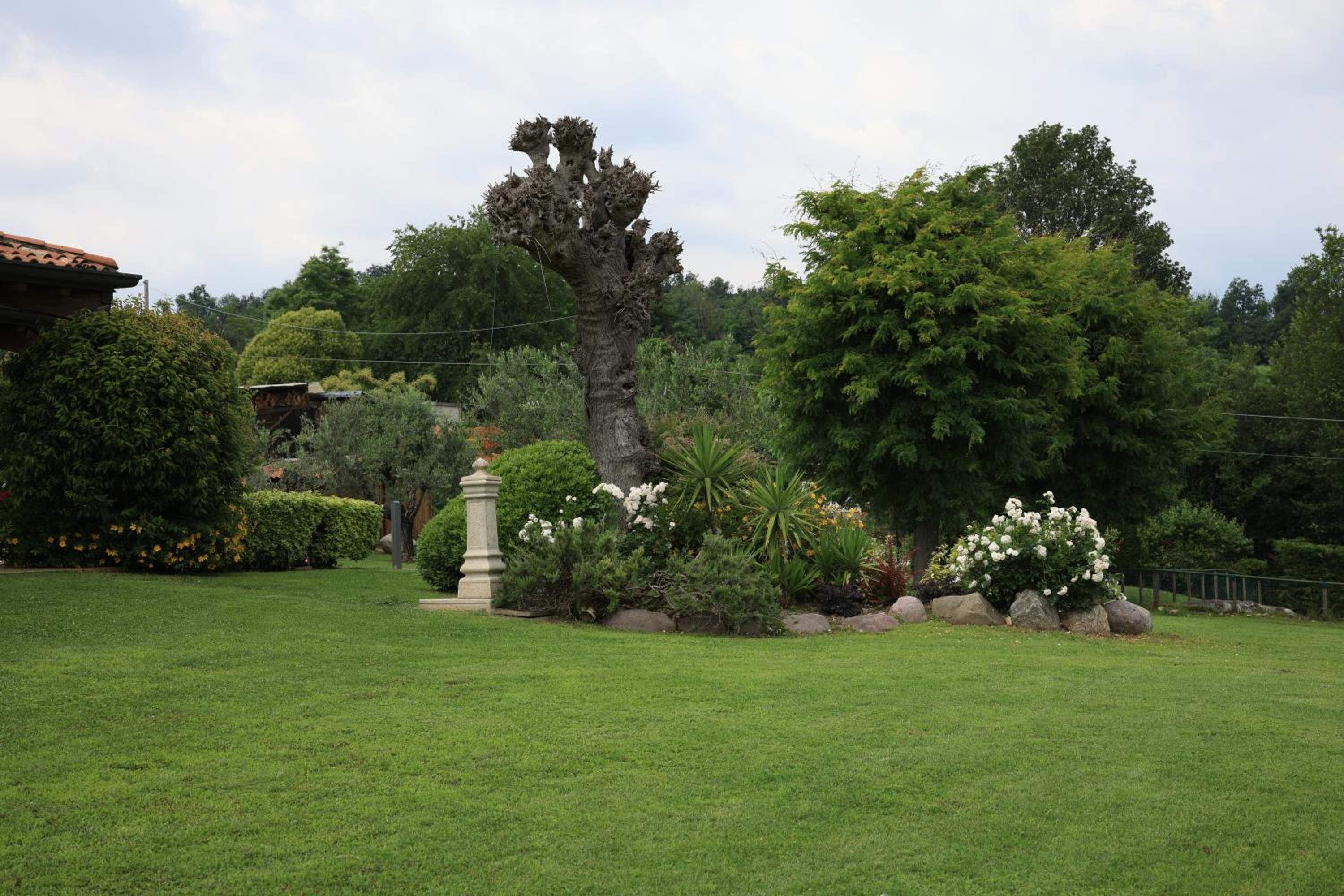 Villa Cristina — photo 3