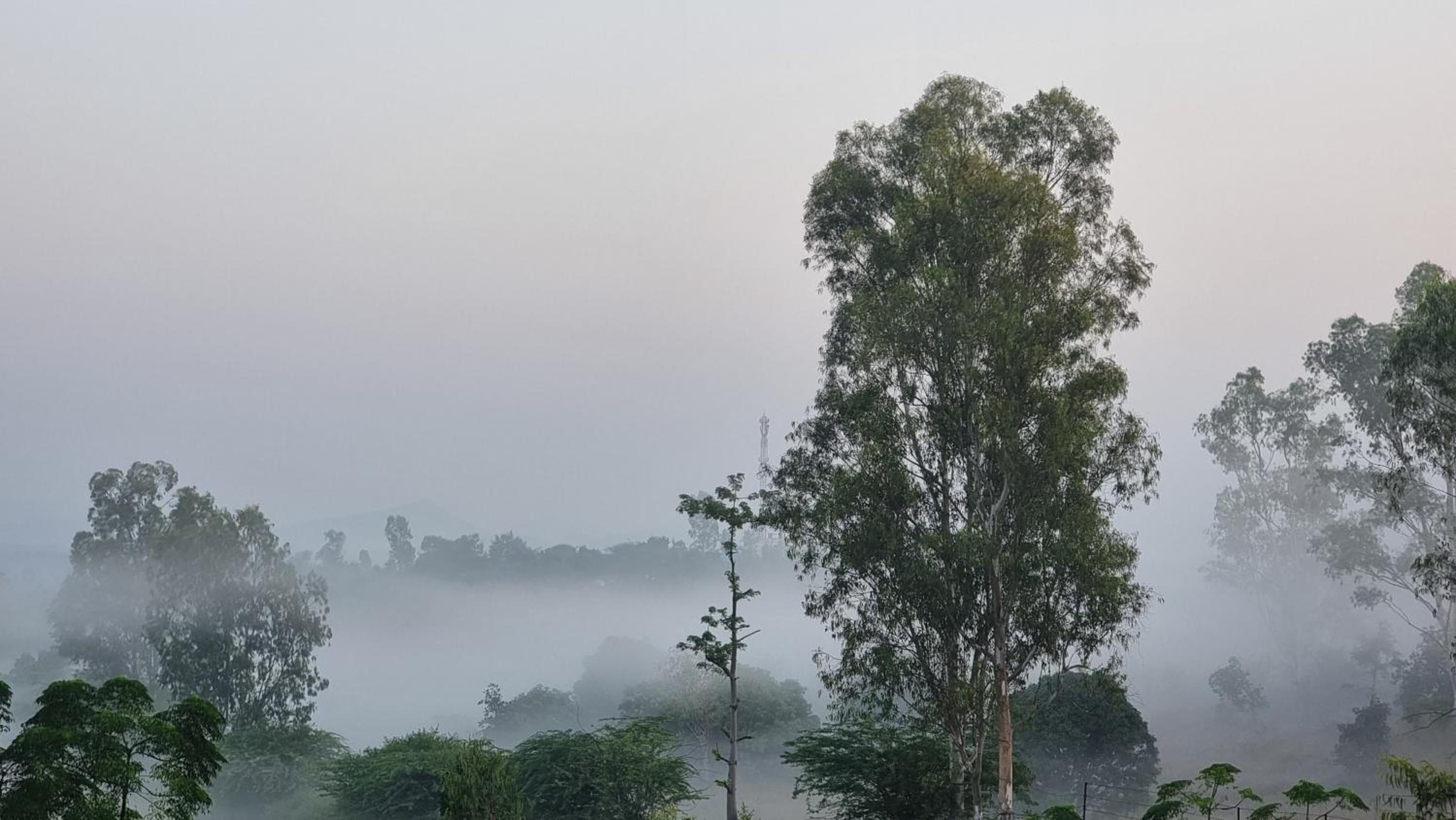 The Aawargarh Retreat