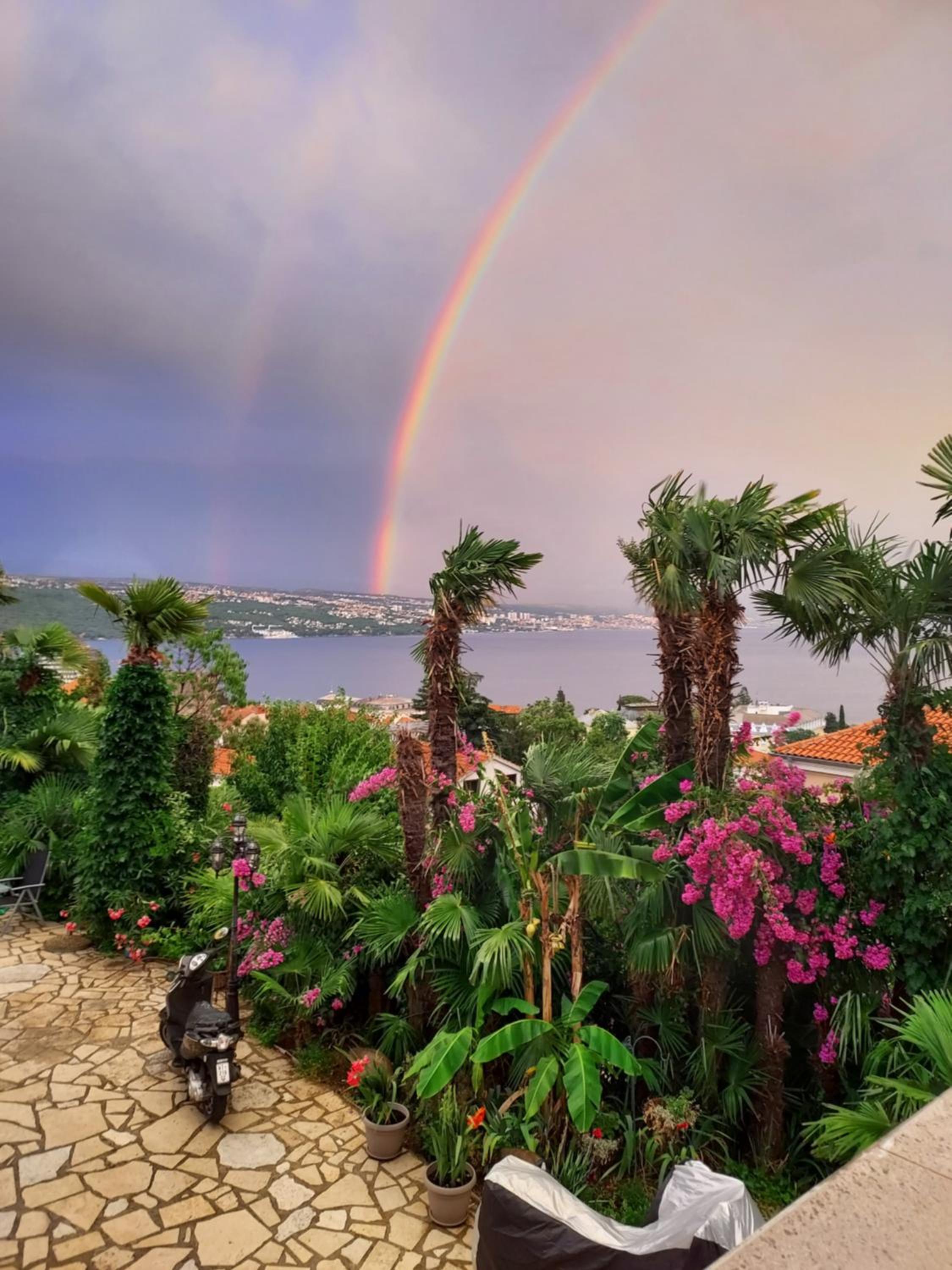 Villa Palme 1 view 2