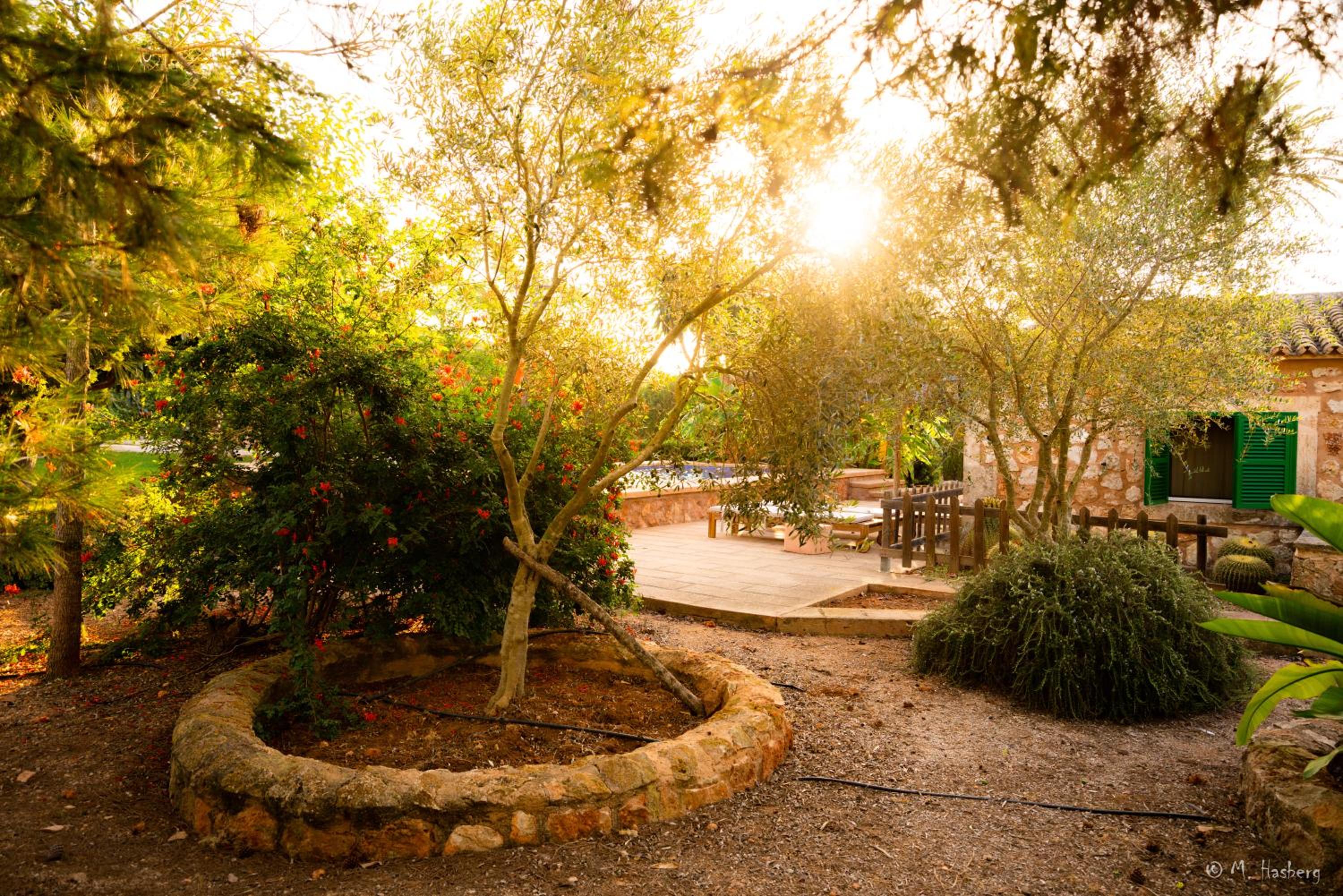 Agroturismo Son Barceló Mas