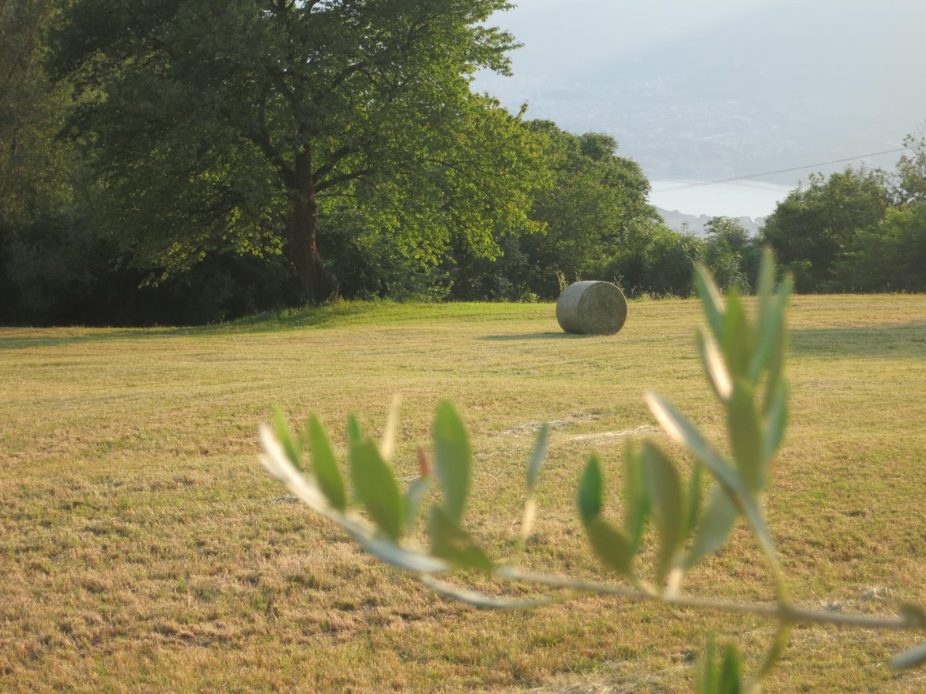 Agriturismo Deviscio