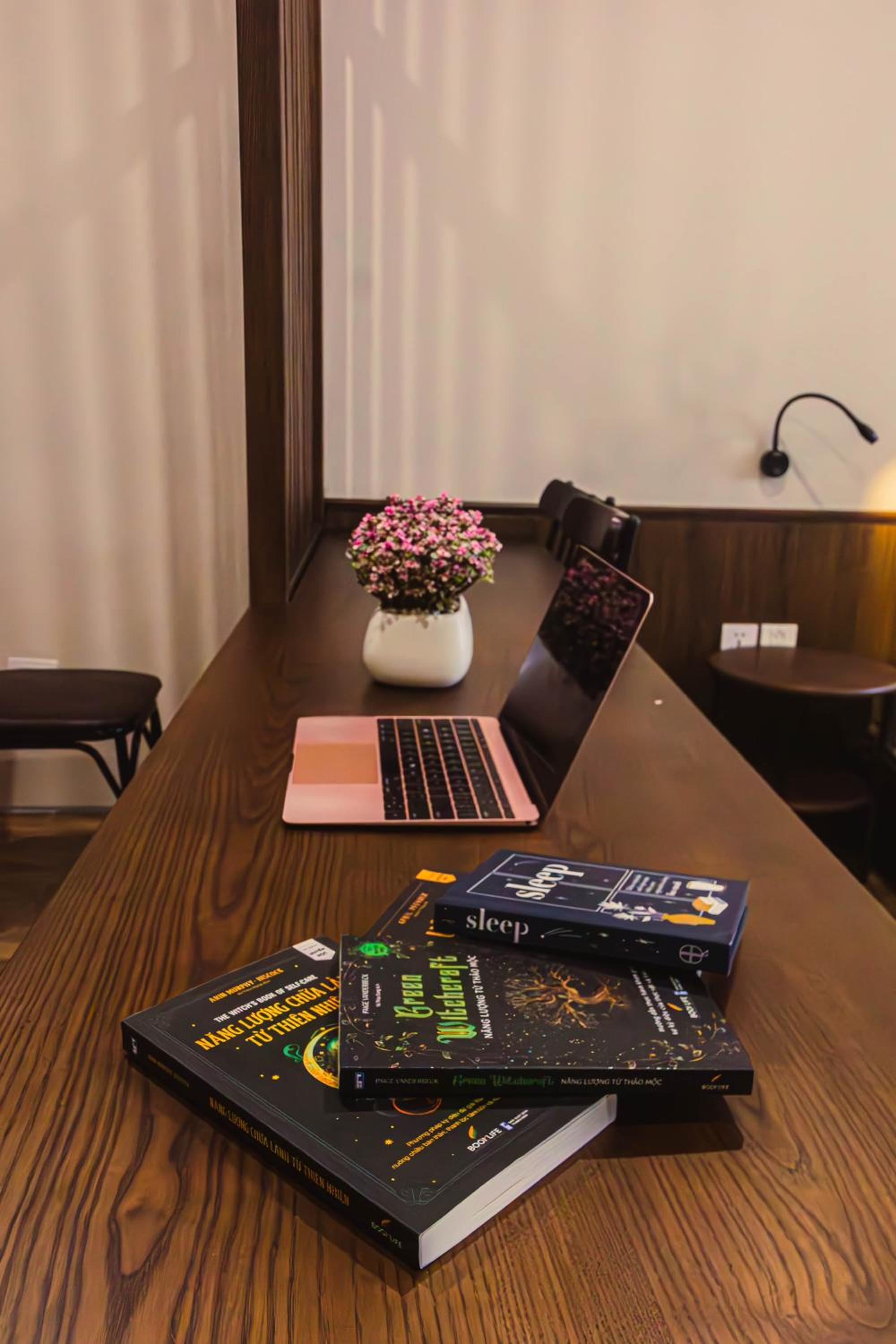 Areca Premium Homestay & Spa Ba Đình