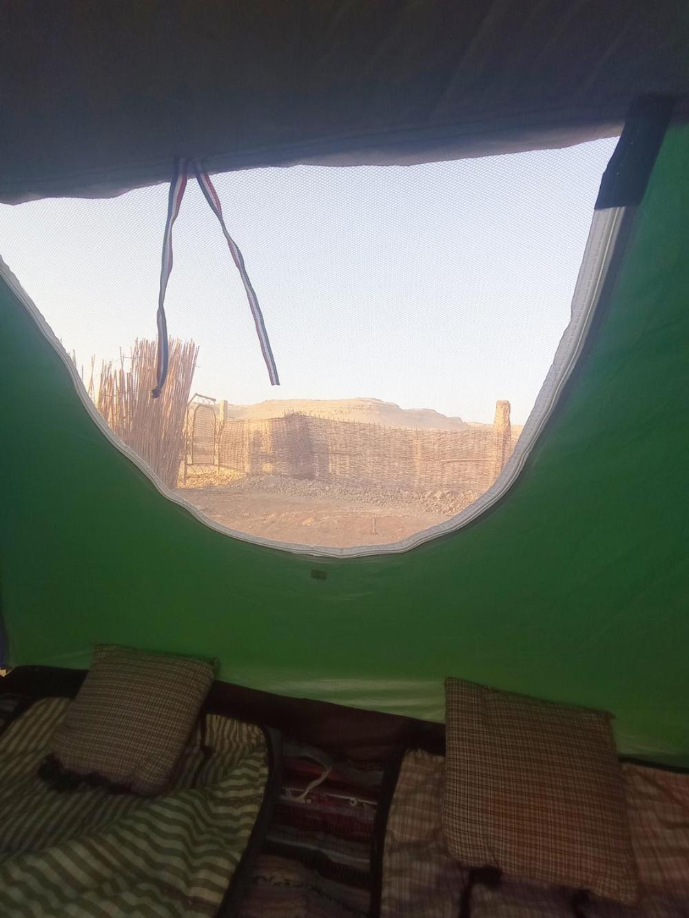 flamingo camp