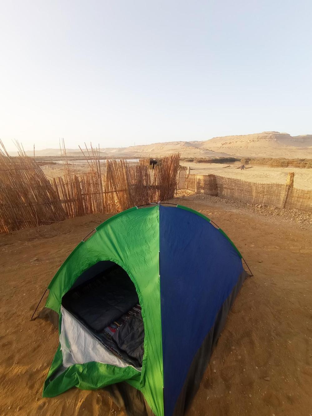 flamingo camp
